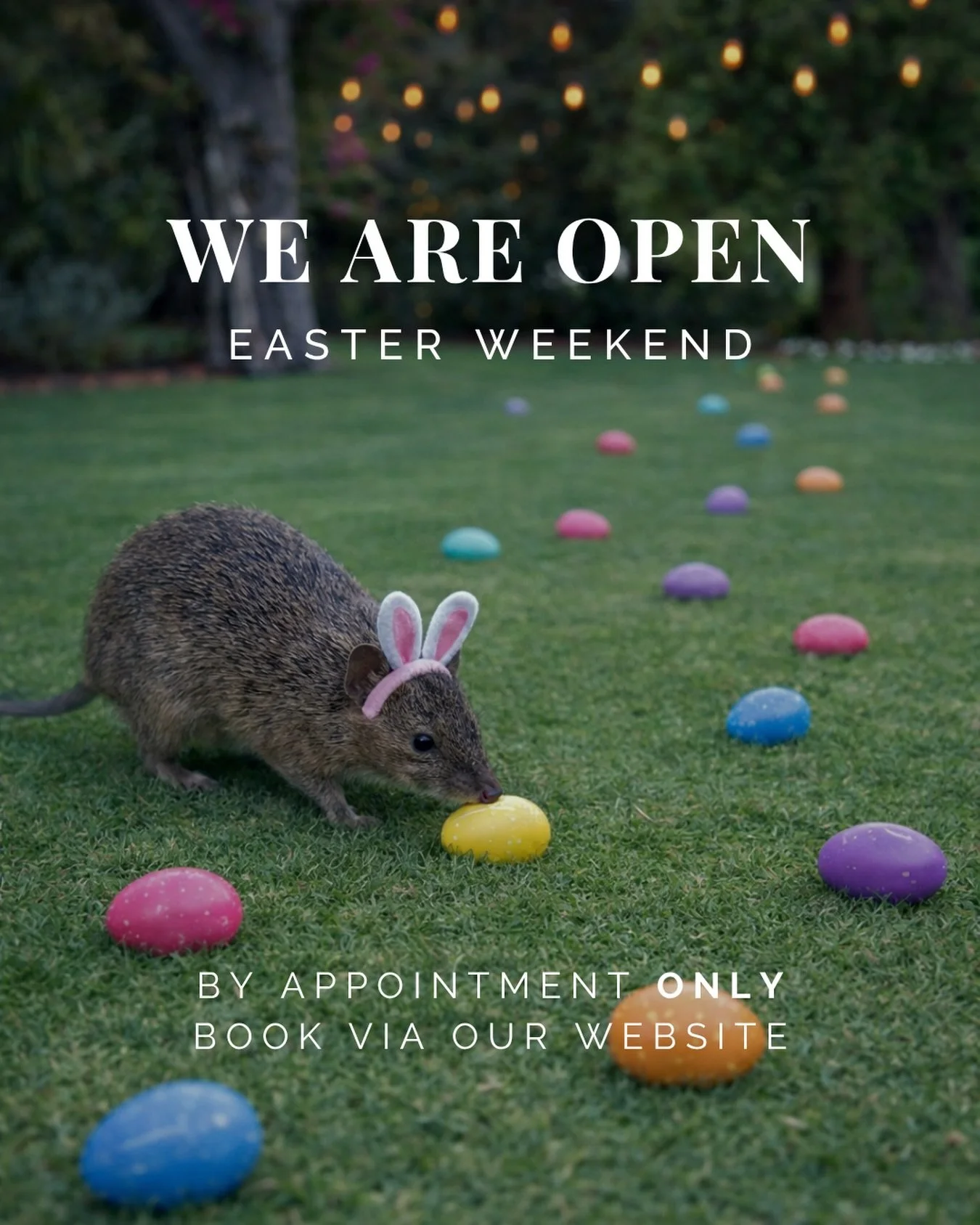 Open this long Easter weekend 🐰
By appointment only
We have scattered a few Easter eggs around the property&hellip; see what you can find when you visit 👀✨
Bookings via our website - rothwood.com.au