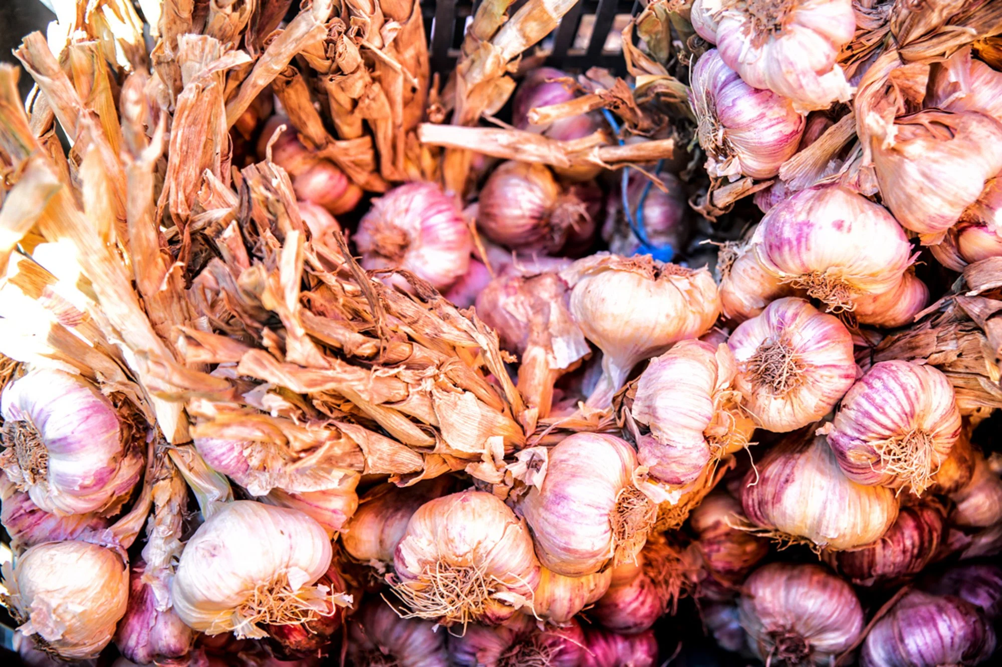 Patrick Balls Photography Food and Drink Photography in Kent, Sussex and London-29.jpg