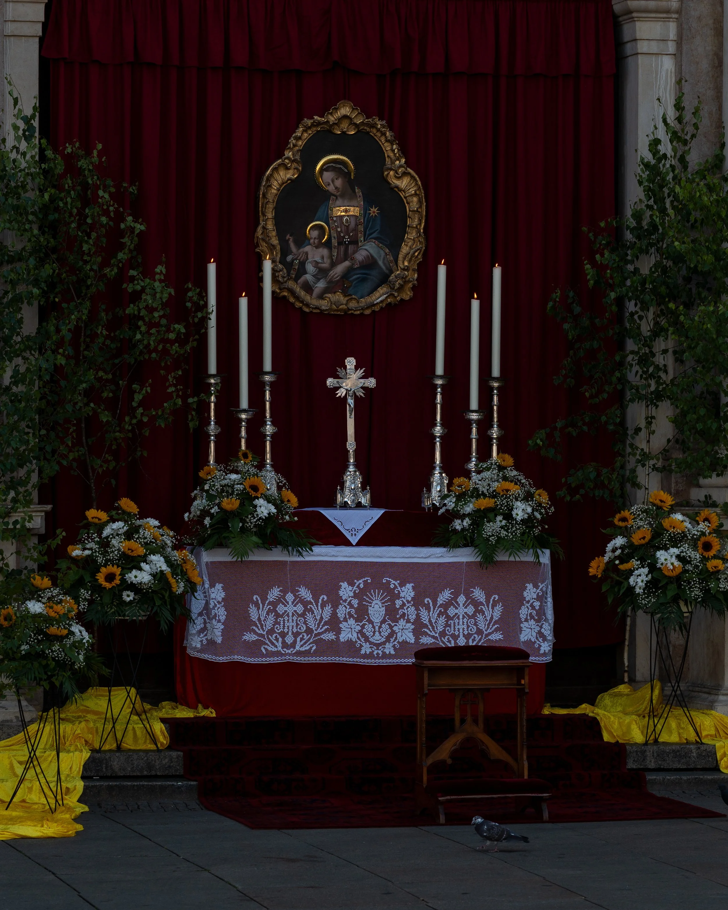 An altar with a religious icon of Mary and Jesus, surrounded by tall candles, floral arrangements, and draped in red and white fabric, with a pigeon on the ground in front.