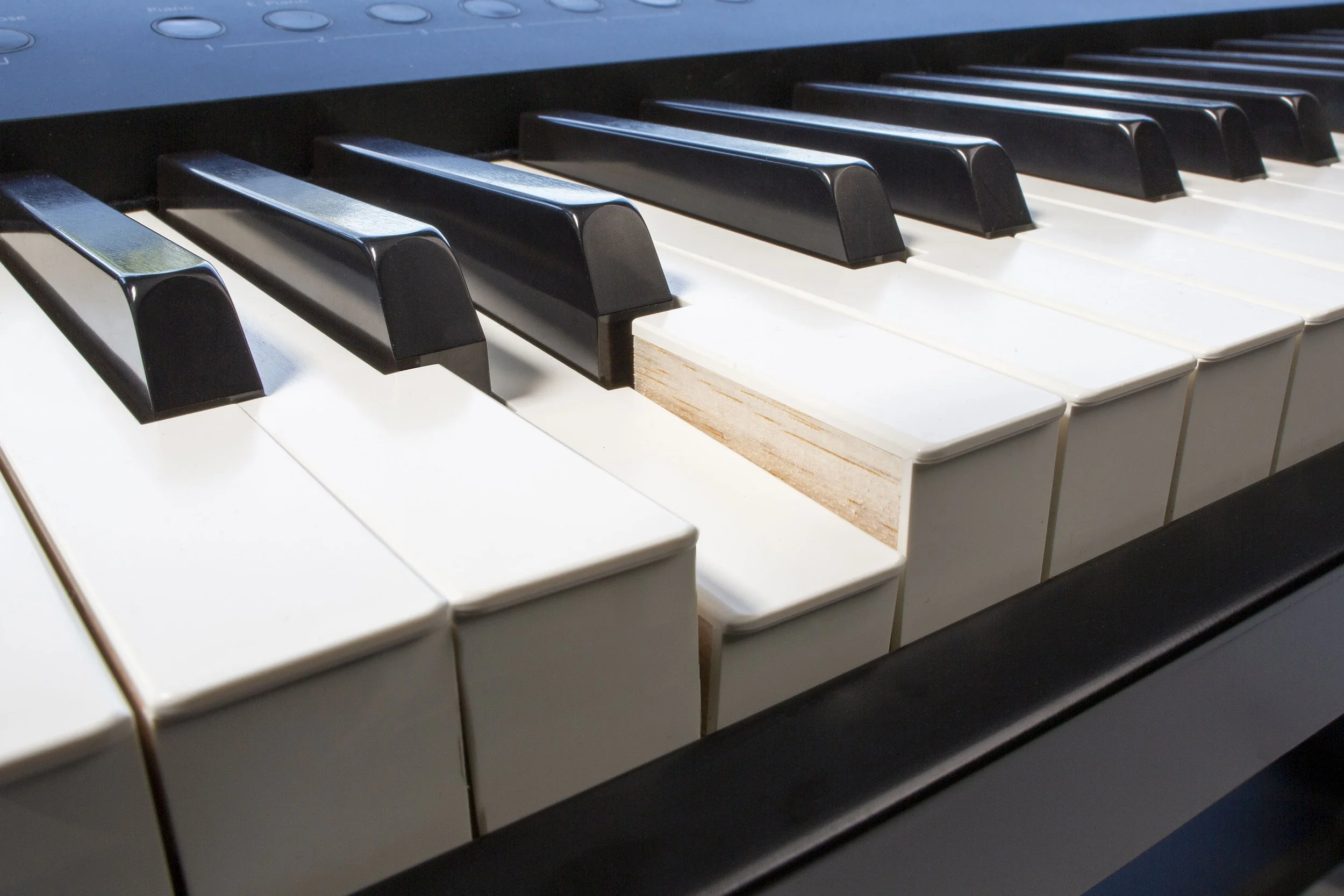 FP-90x_RealFeel-KeyBoards_045A5836.jpg