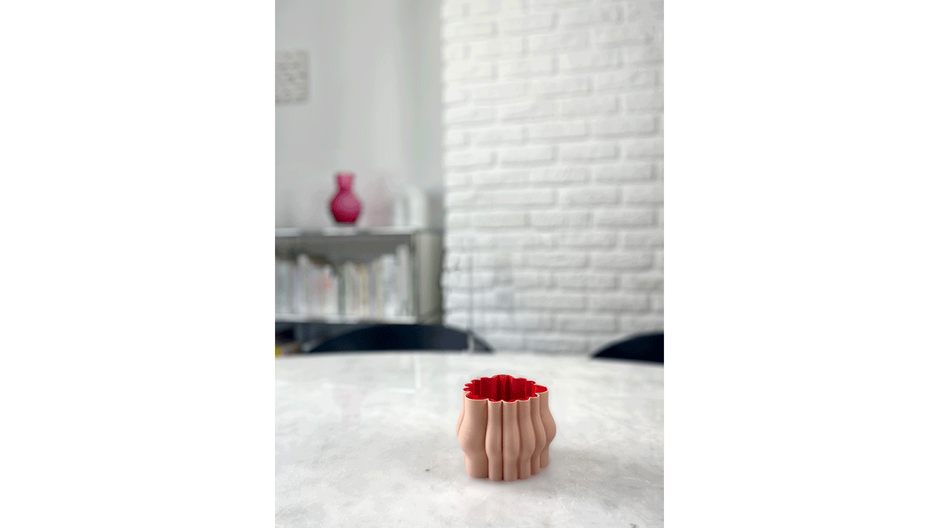 RoVas_mini-WEB-FORMAT.gif
