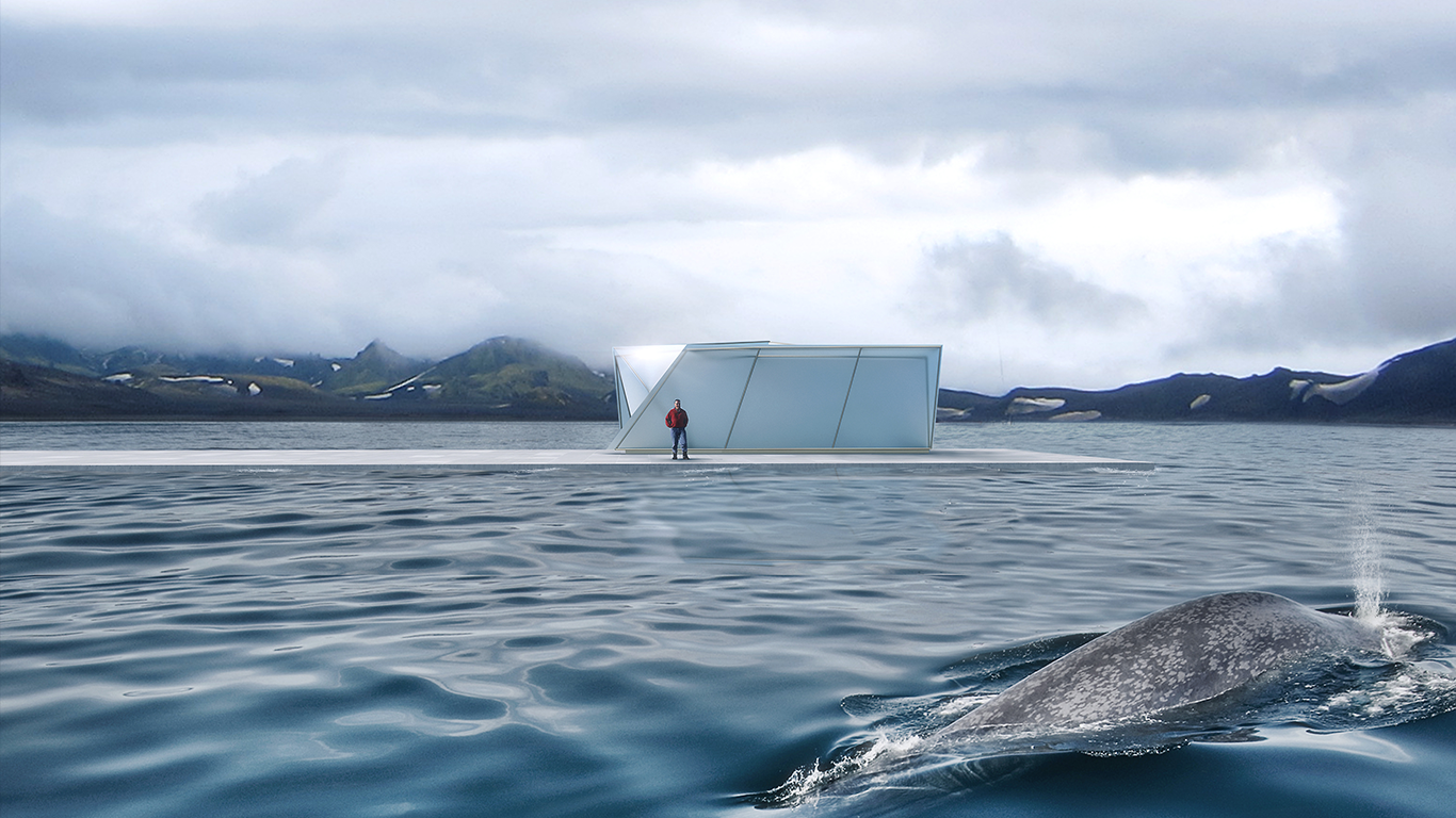Whale Watching in Iceland