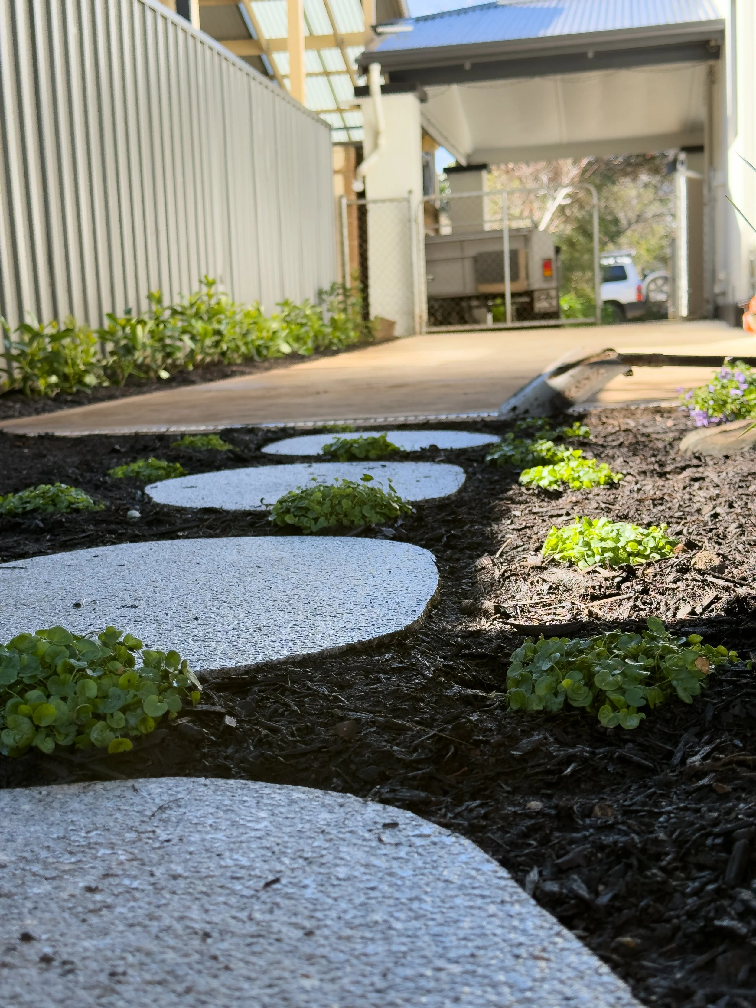 Concrete stepping stones on a flower bed in a backyard with a driveway, house, and parked vehicle in the background.