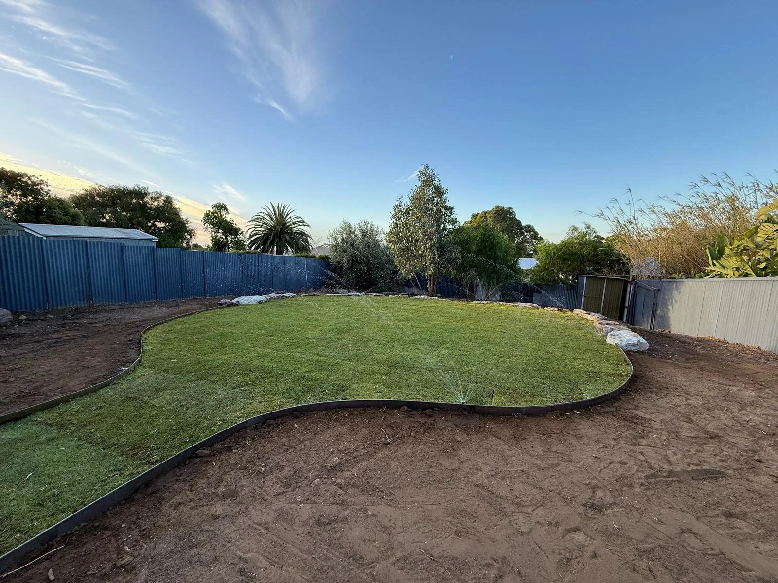 Backyard with a newly laid lawn, surrounded by metal fencing, with trees and shrubs, and a partly cloudy sky.