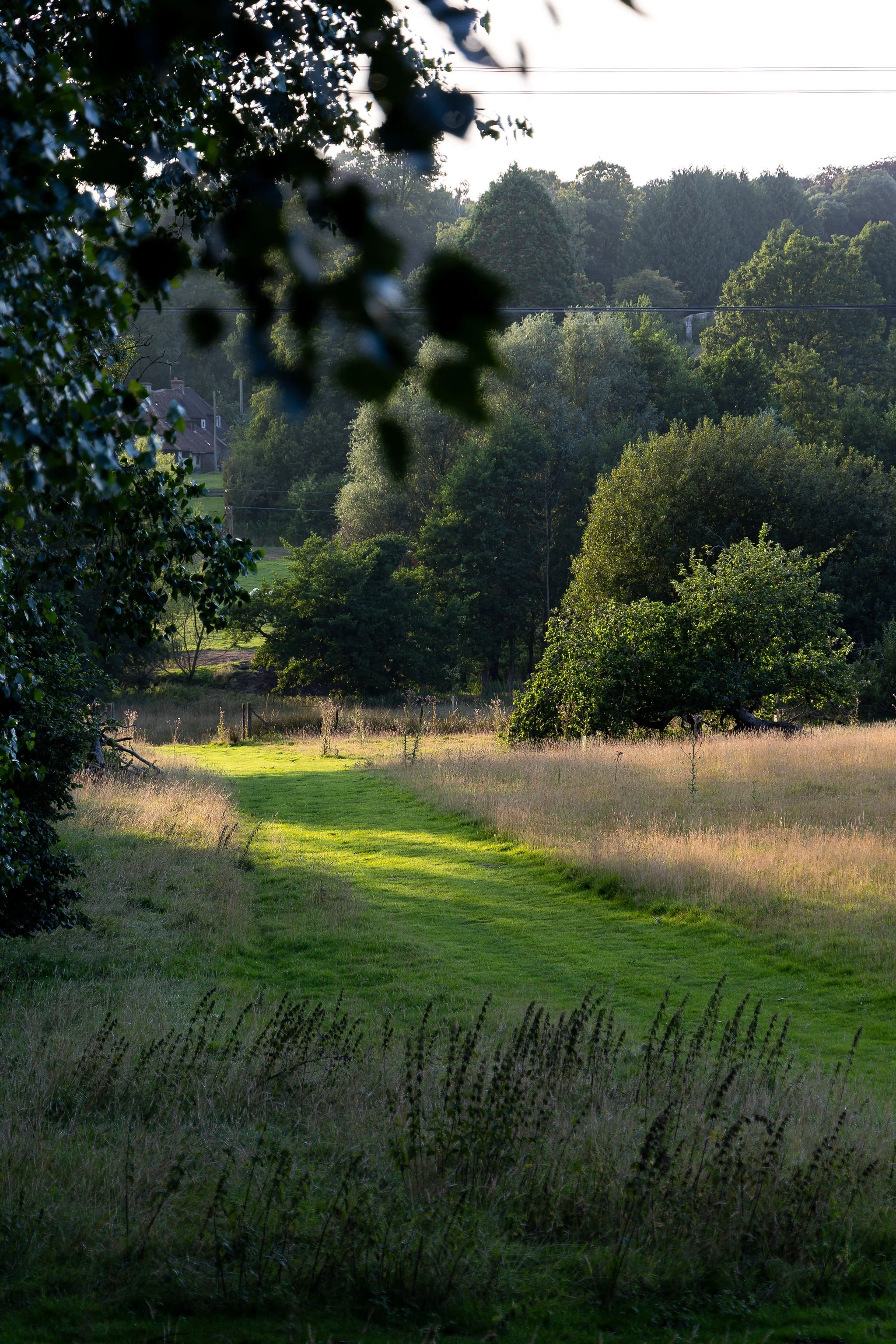 A grassy trail running through a field with trees on either side, in a rural area with houses and hills in the background.
