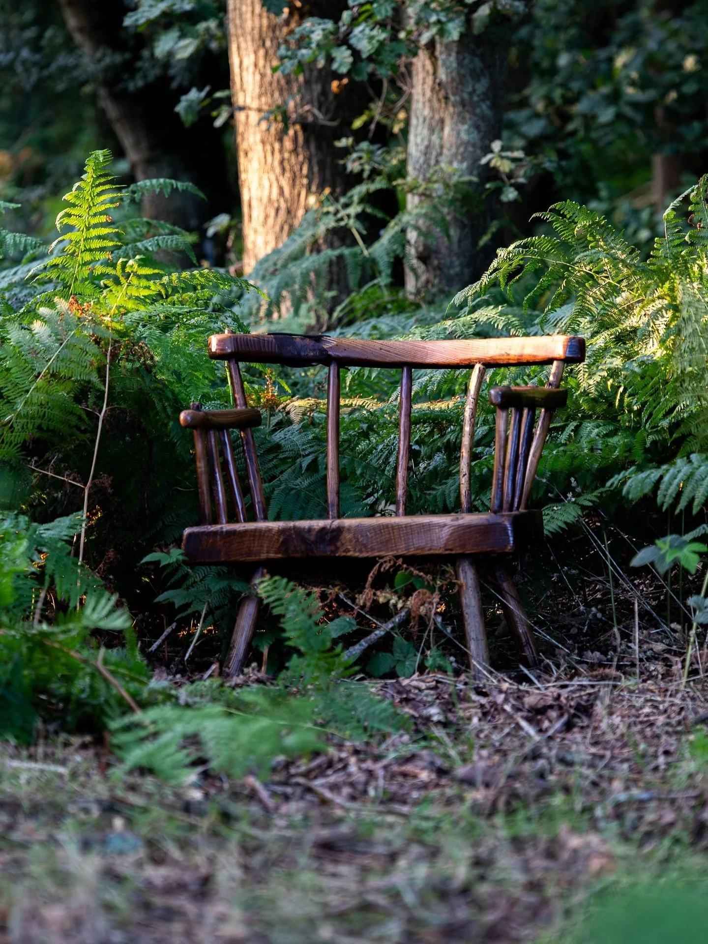 If you go down to the woods today&hellip;