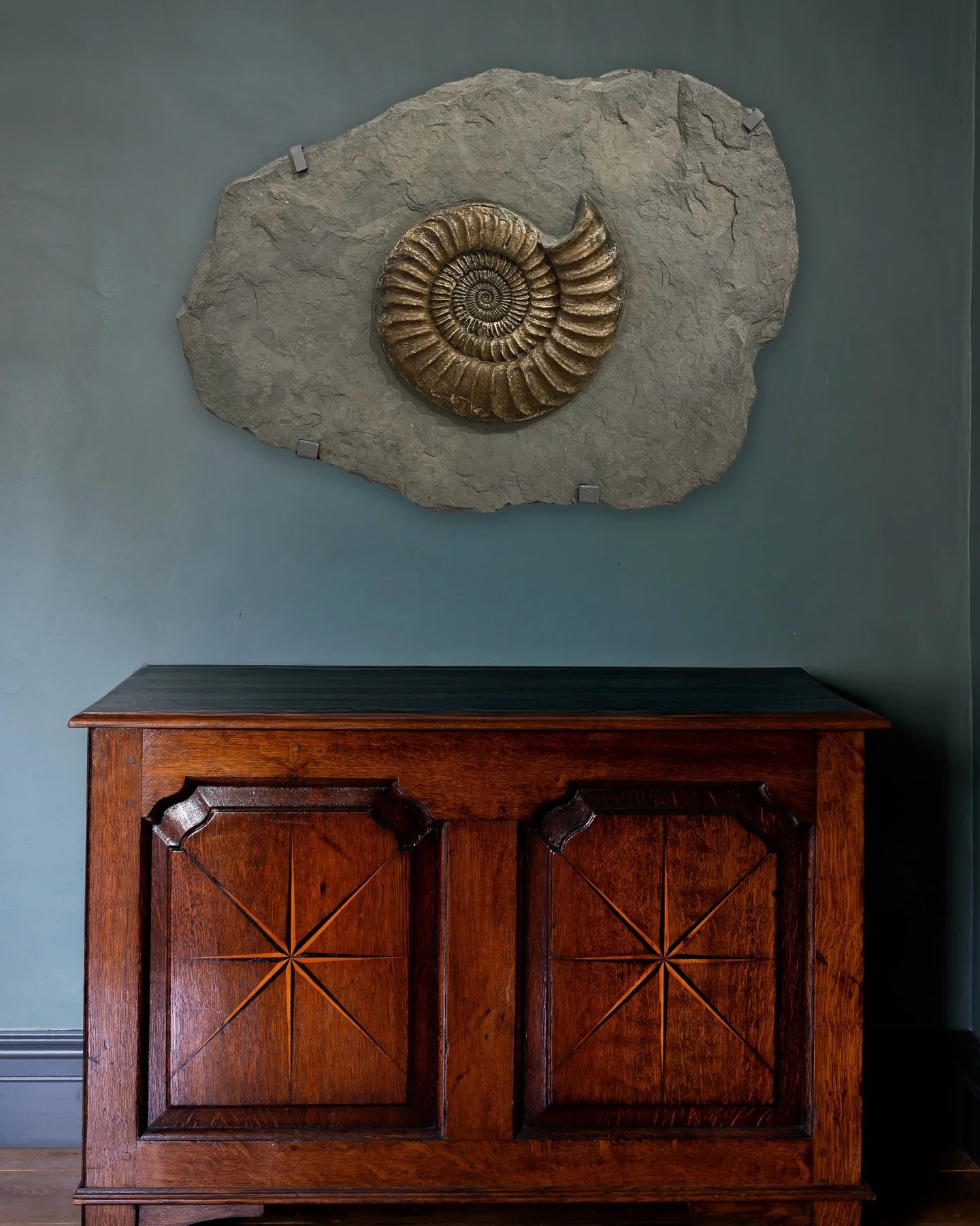 A rare and spectacular fossilised ammonite.

This unusually large and beautiful ammonite was discovered on the UK&rsquo;s Jurassic Coast and expertly prepared in its matrix by renowned palaeontologist Chris Moore. Ammonites were once abundant sea cre