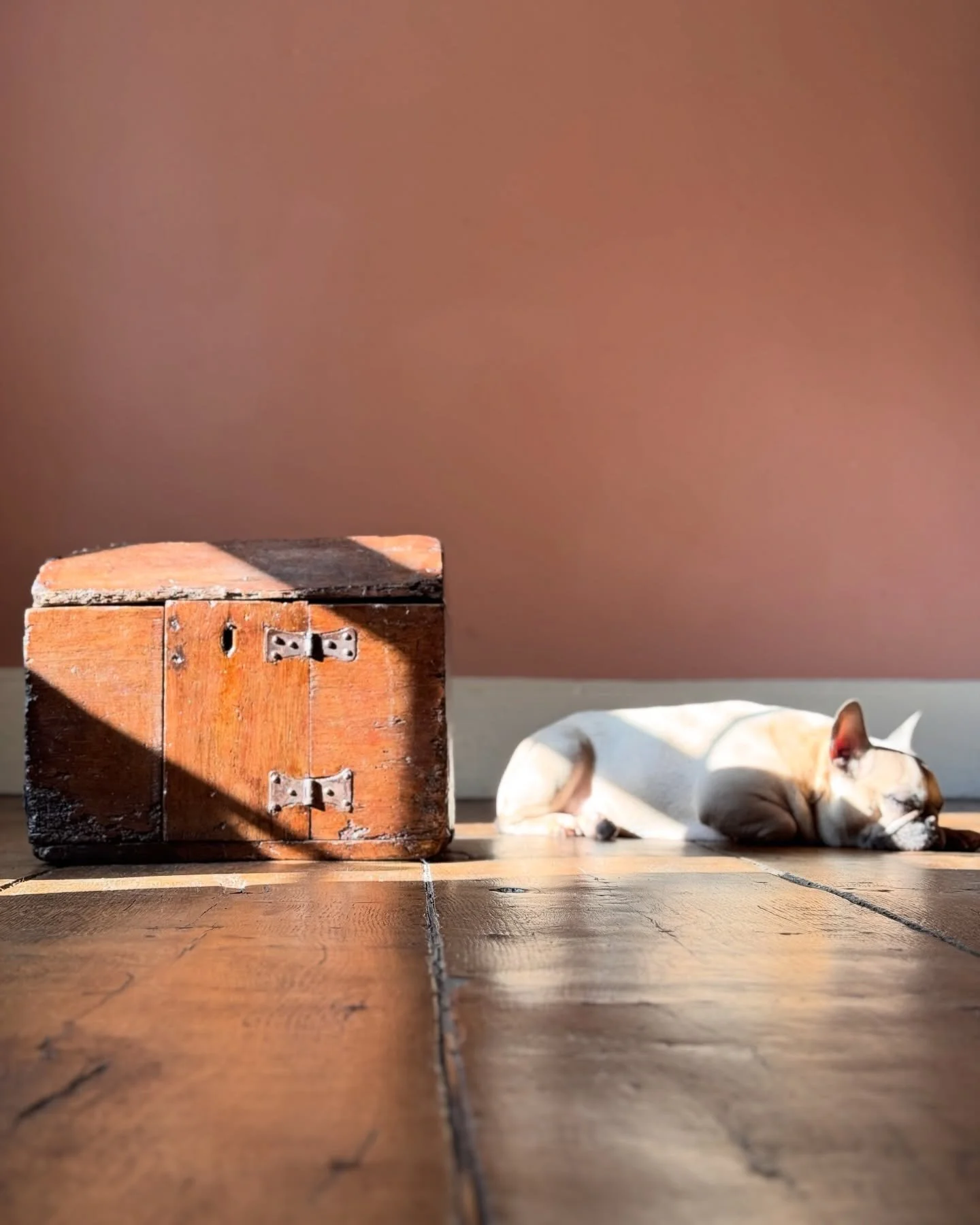 Photographing new stock with help from Pablo