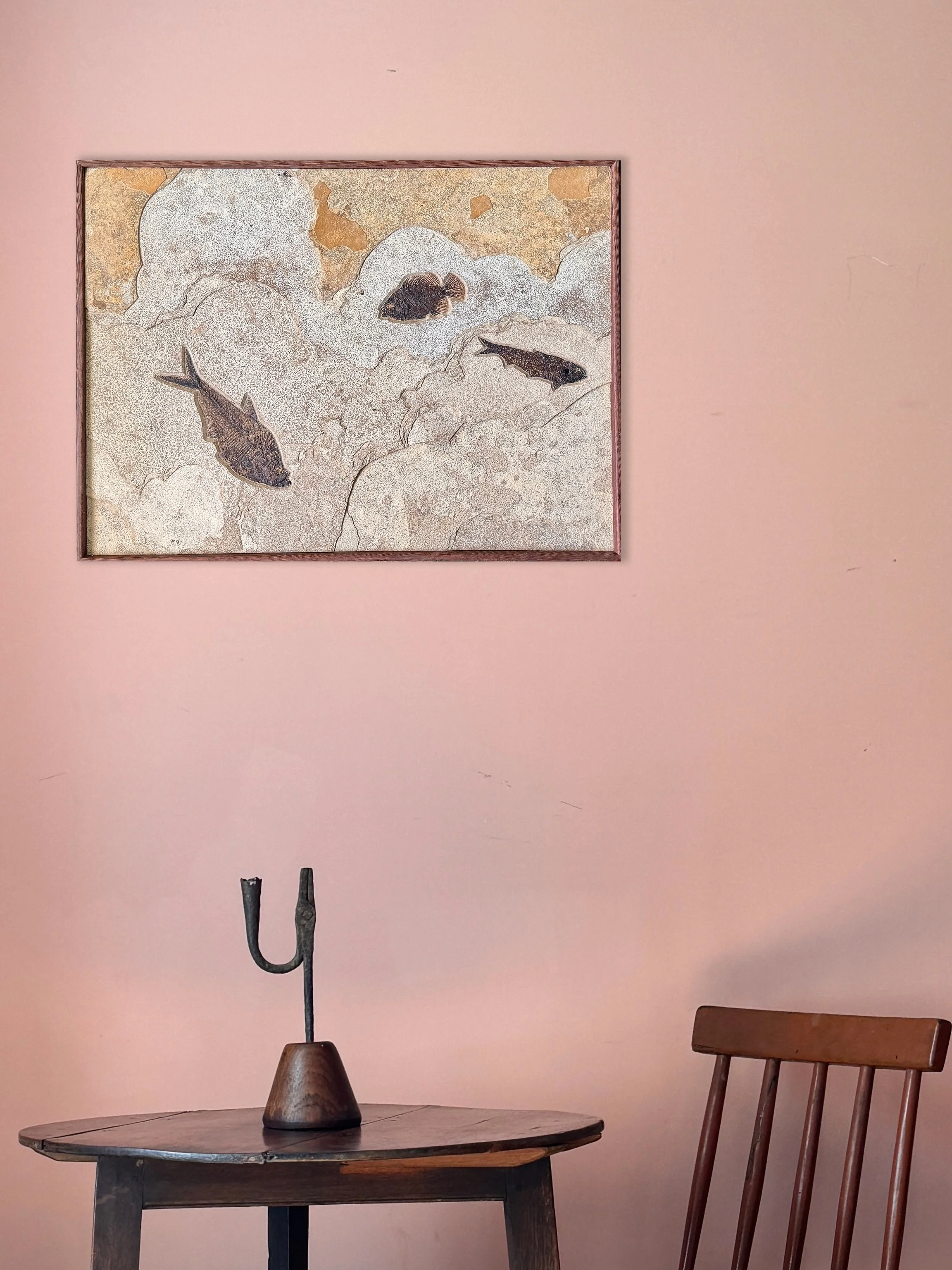 Quarried from the prehistoric Green River stone layer of Southwestern Wyoming, this beautiful fossilised fish mural contains various extinct species including Diplomystus dentatus, a Knightia eocaena and a Cockerellites that date back to the early Eo