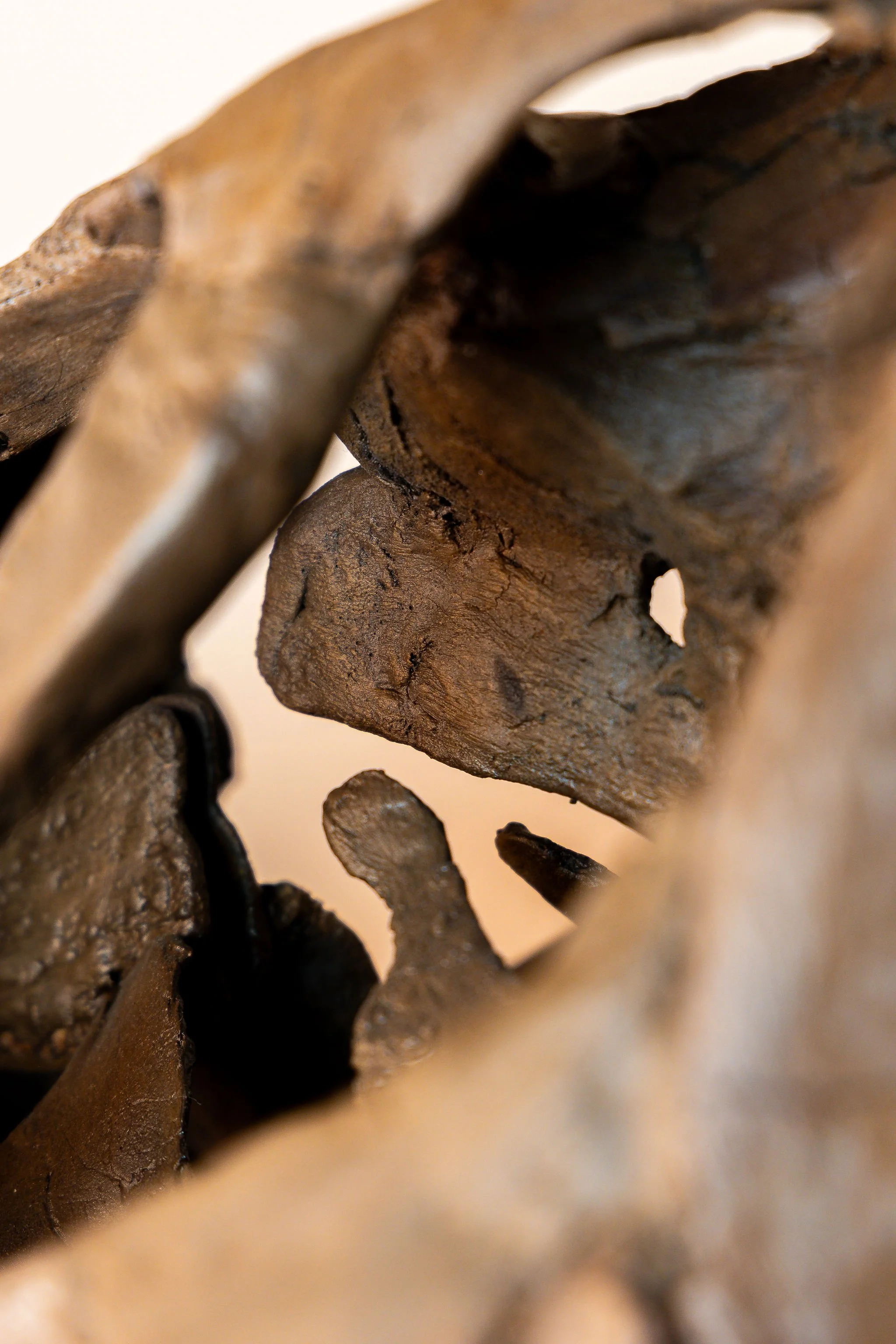 4J6A9622EO.Highres.jpg