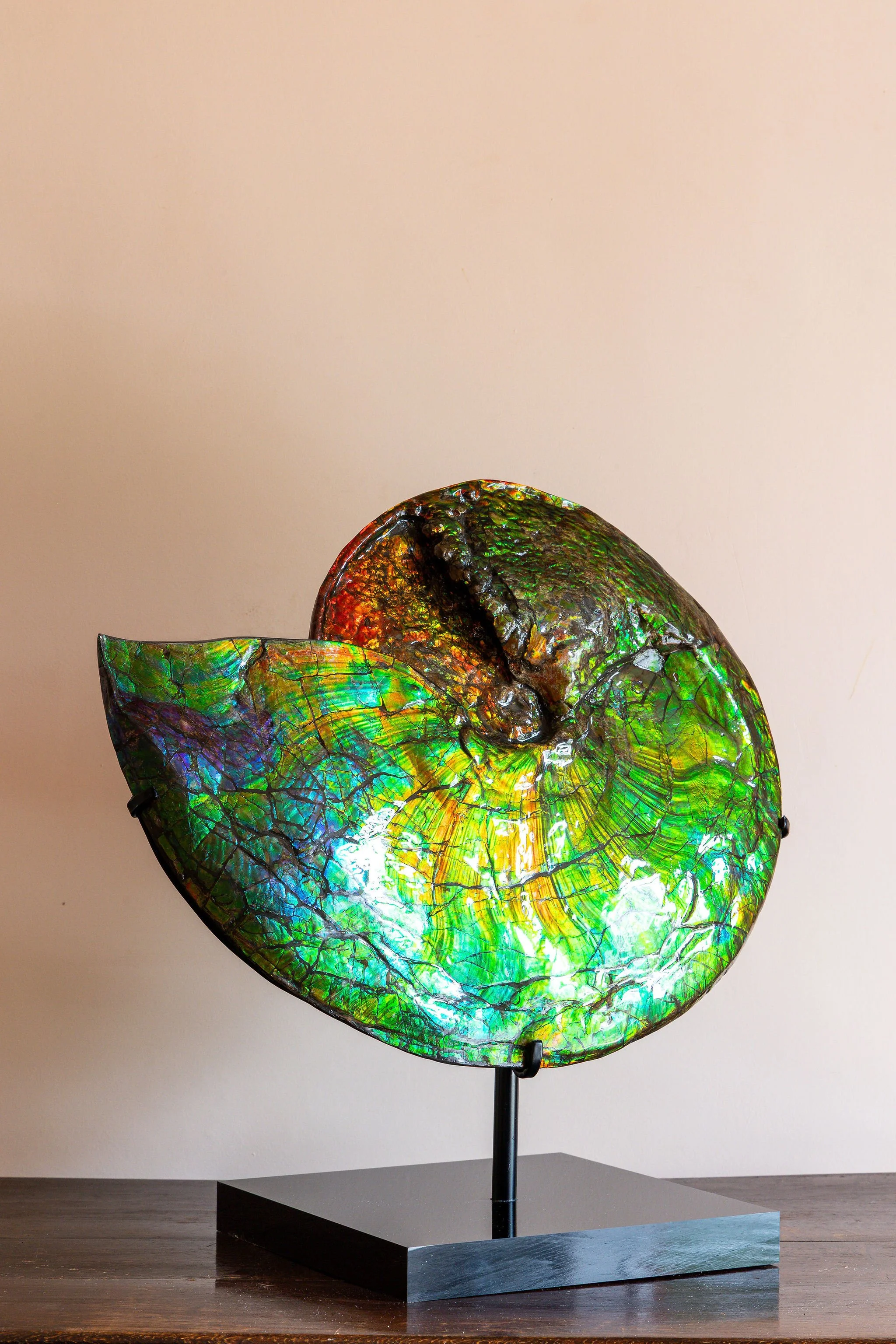 4J6A9502EO.Highres.jpg