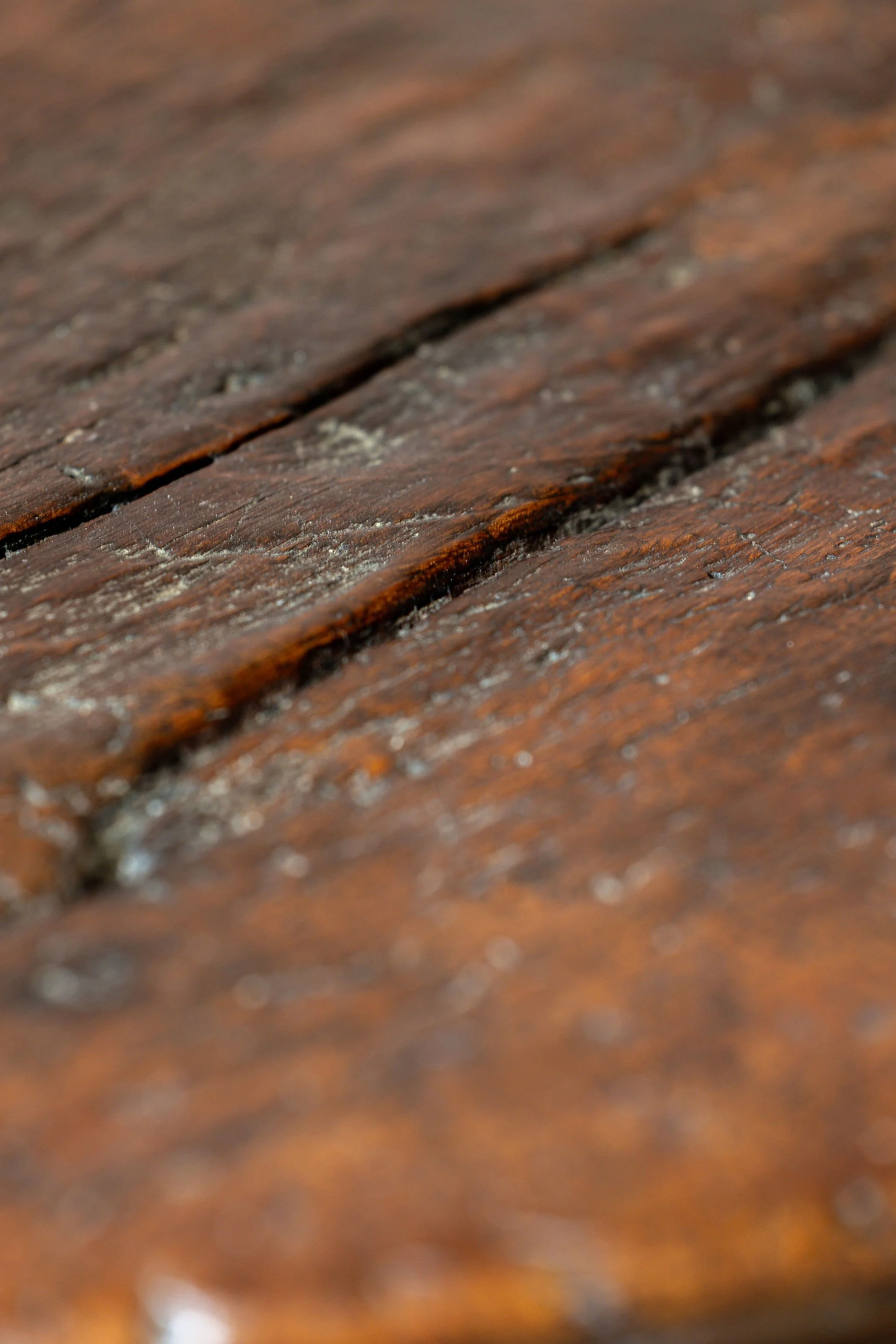 4J6A8530EO.Highres.jpg