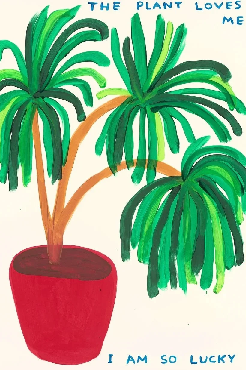 extraordinary-objects-david-shrigley-the-plant-loves-me-hi-res.jpg