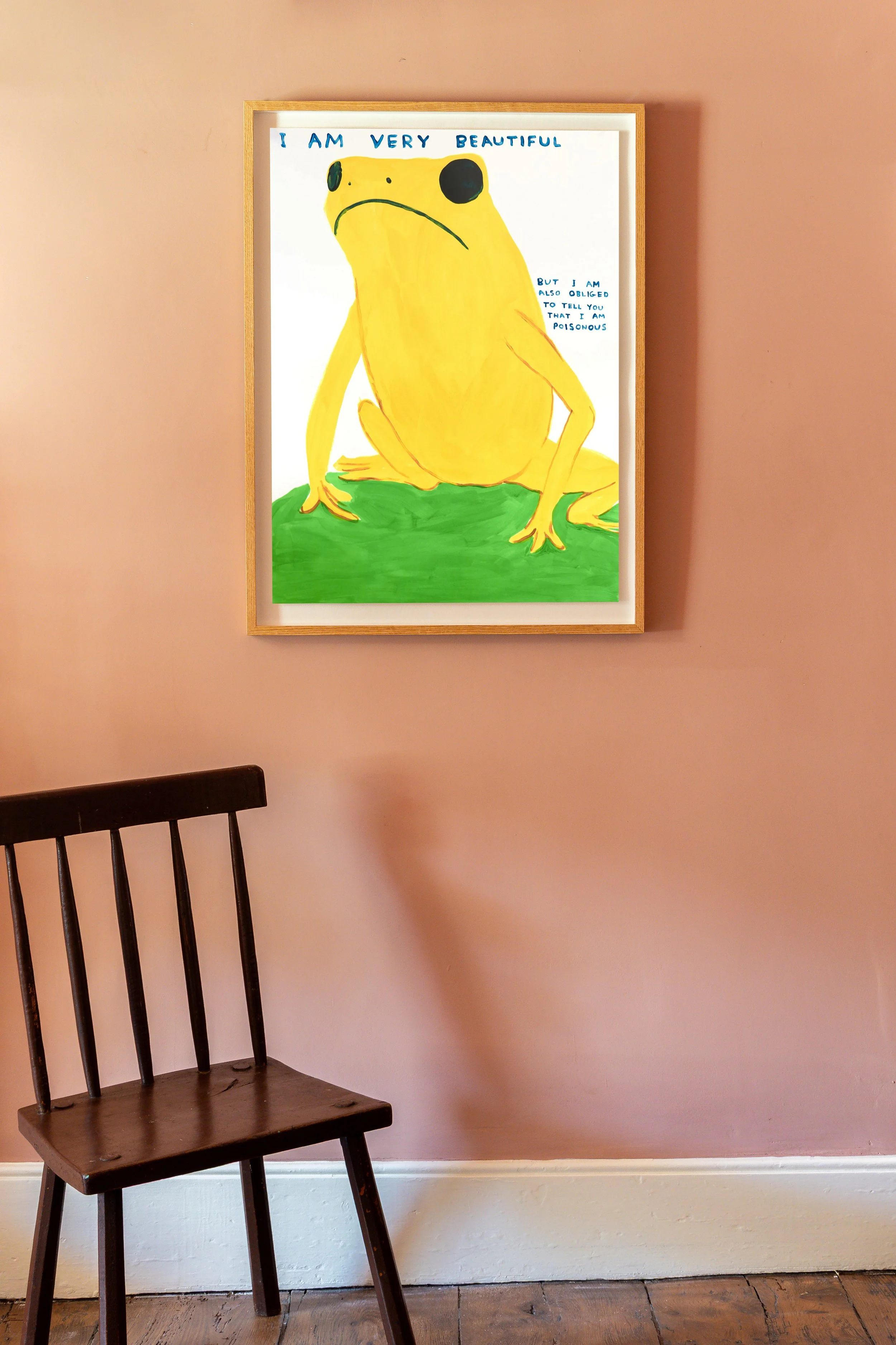 extraordinary-objects-ex-ob-david-shrigley-i-am-very-beautiful-print-in-situ-1.jpg
