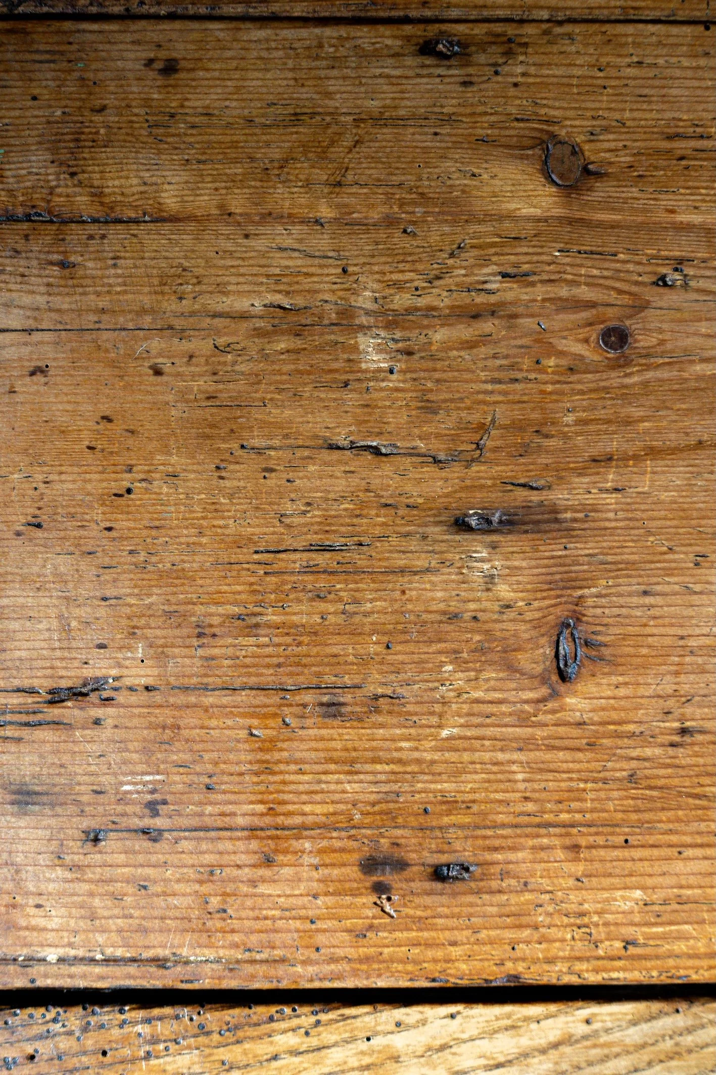 4J6A8437EO.Highres.jpg