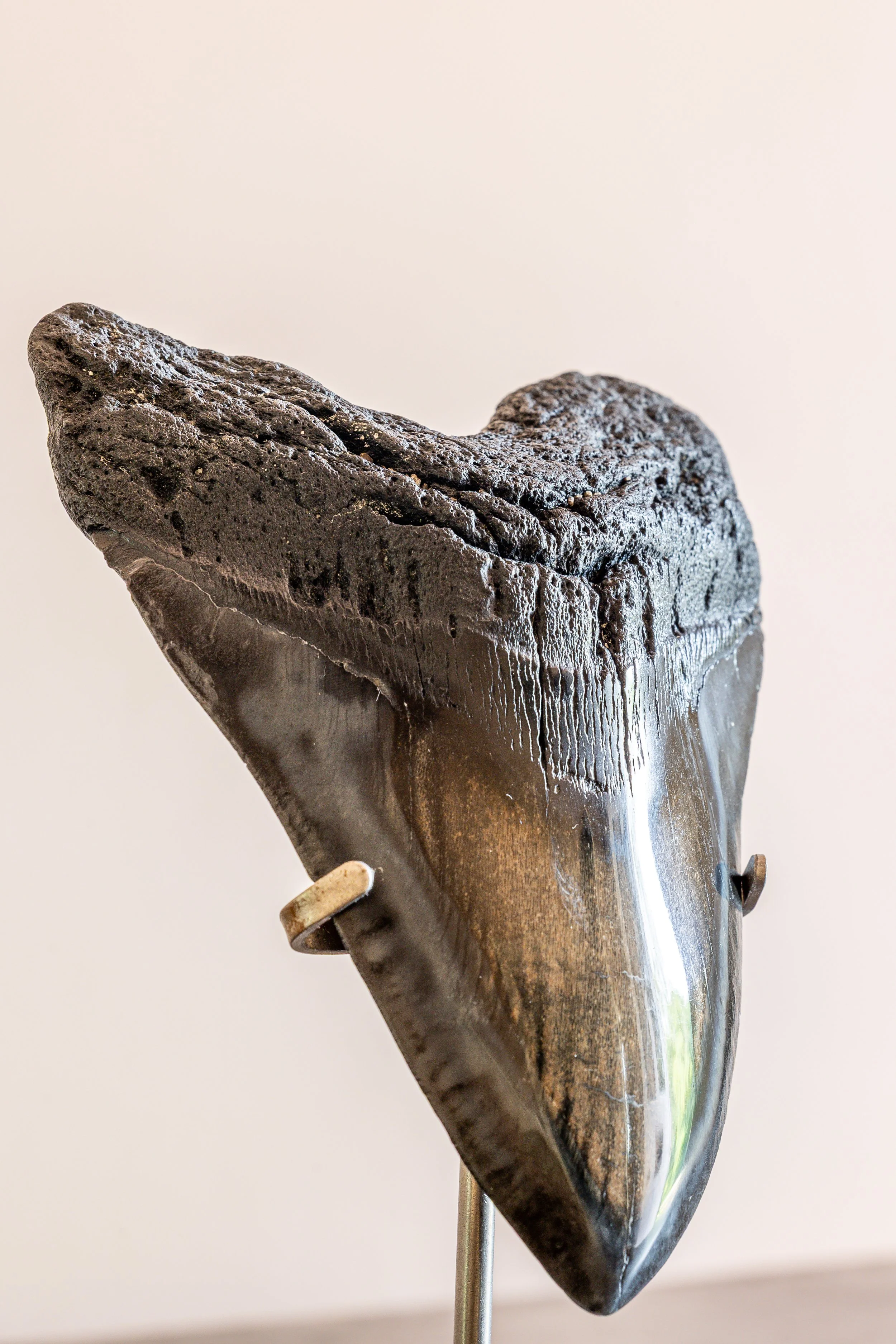 4J6A9433EO.Highres.jpg