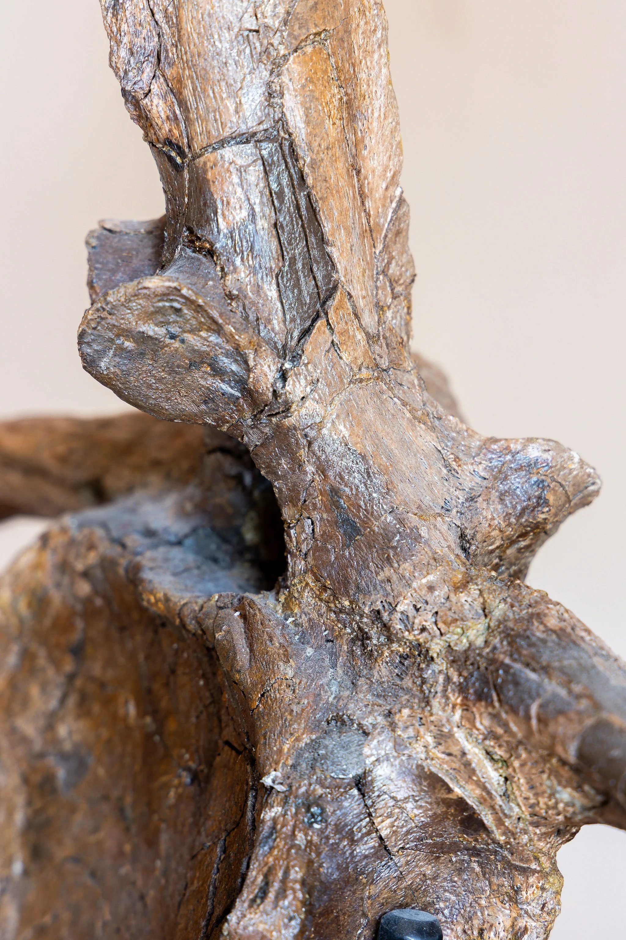 4J6A9374EO.Highres.jpg