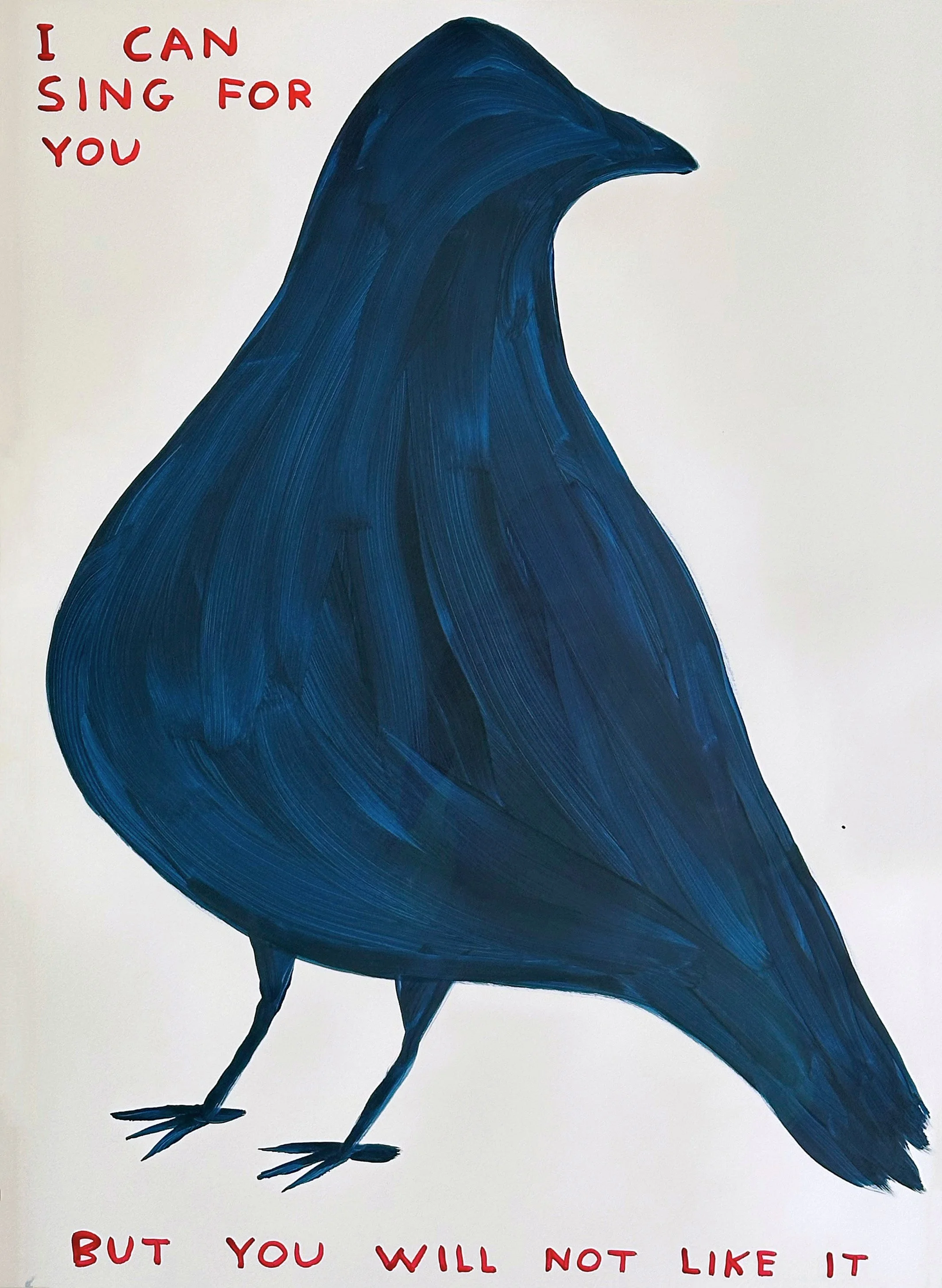 extraordinary-objects-david-shrigley-i-can-sing-for-you.jpg