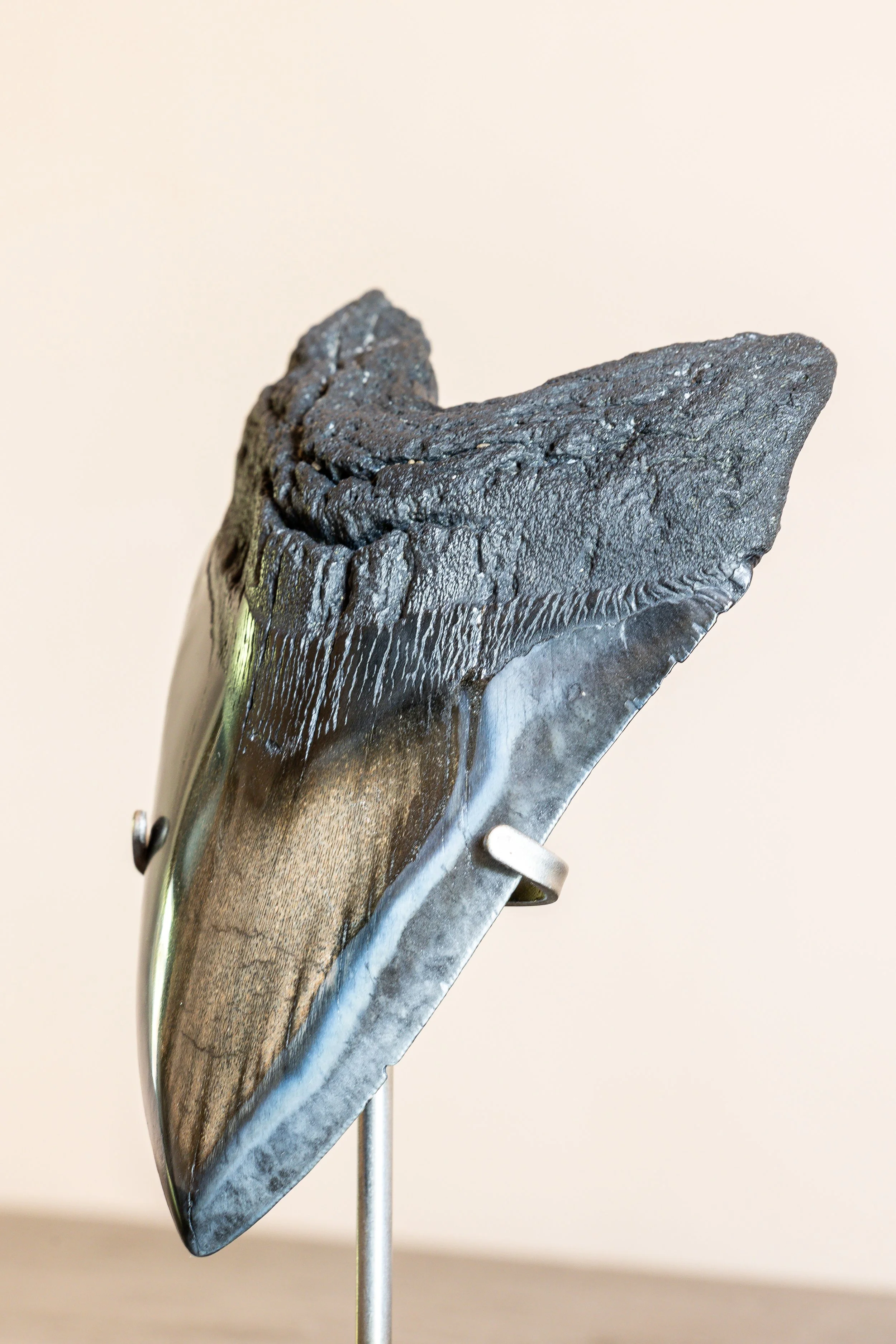 4J6A9432EO.Highres.jpg