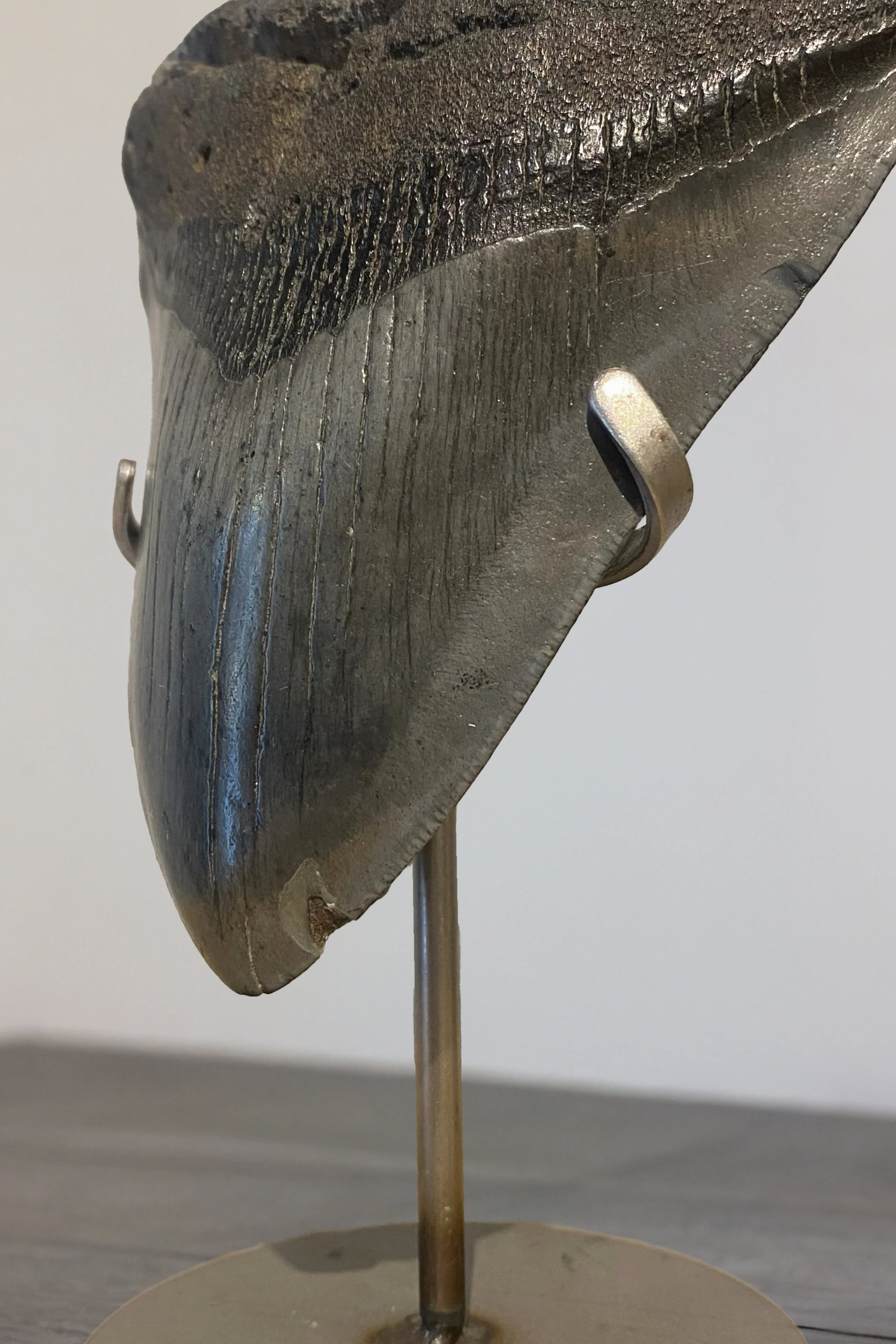 4J6A9417EO.Highres12.jpg