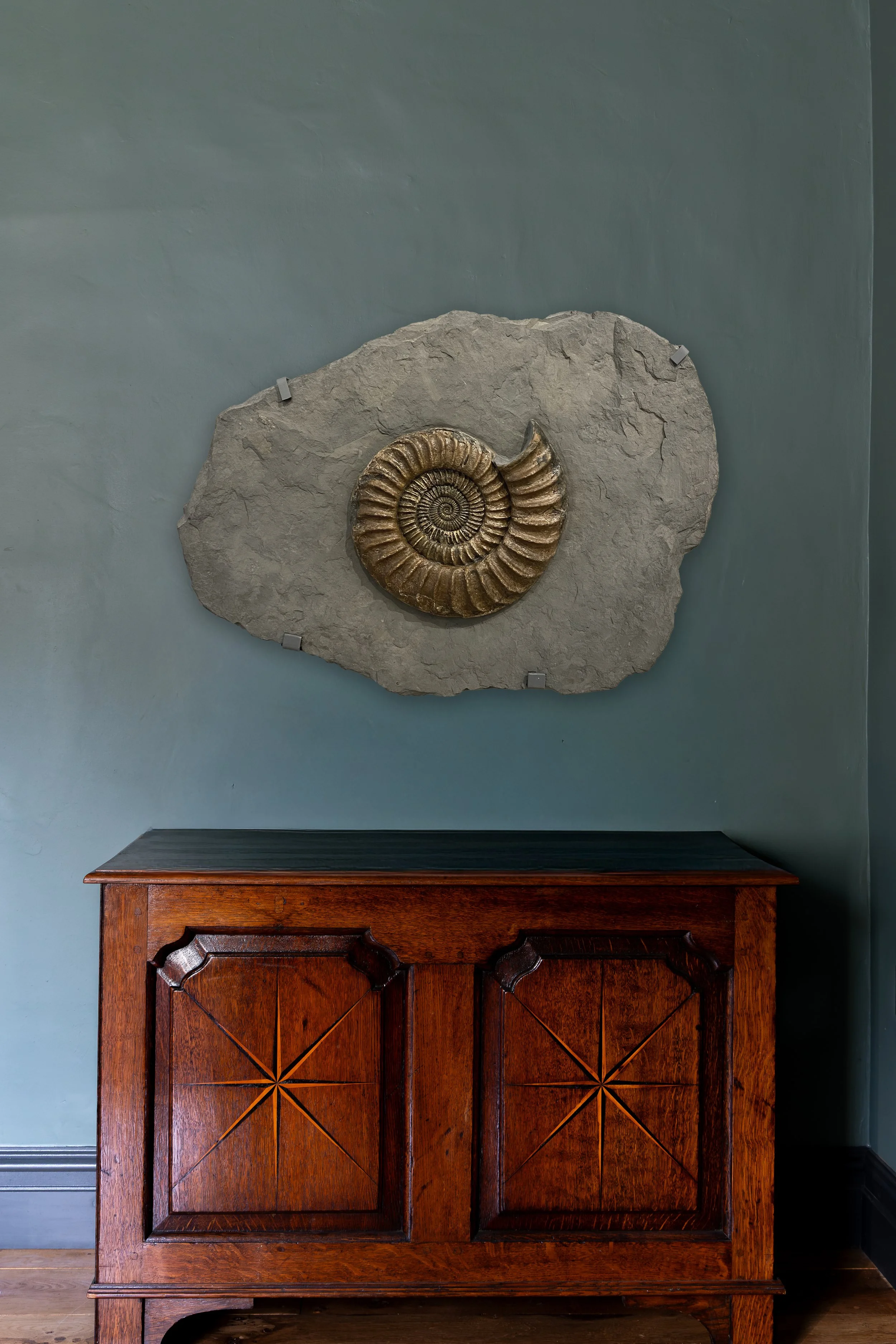 Fossilised Ammonite Plate in Matrix
