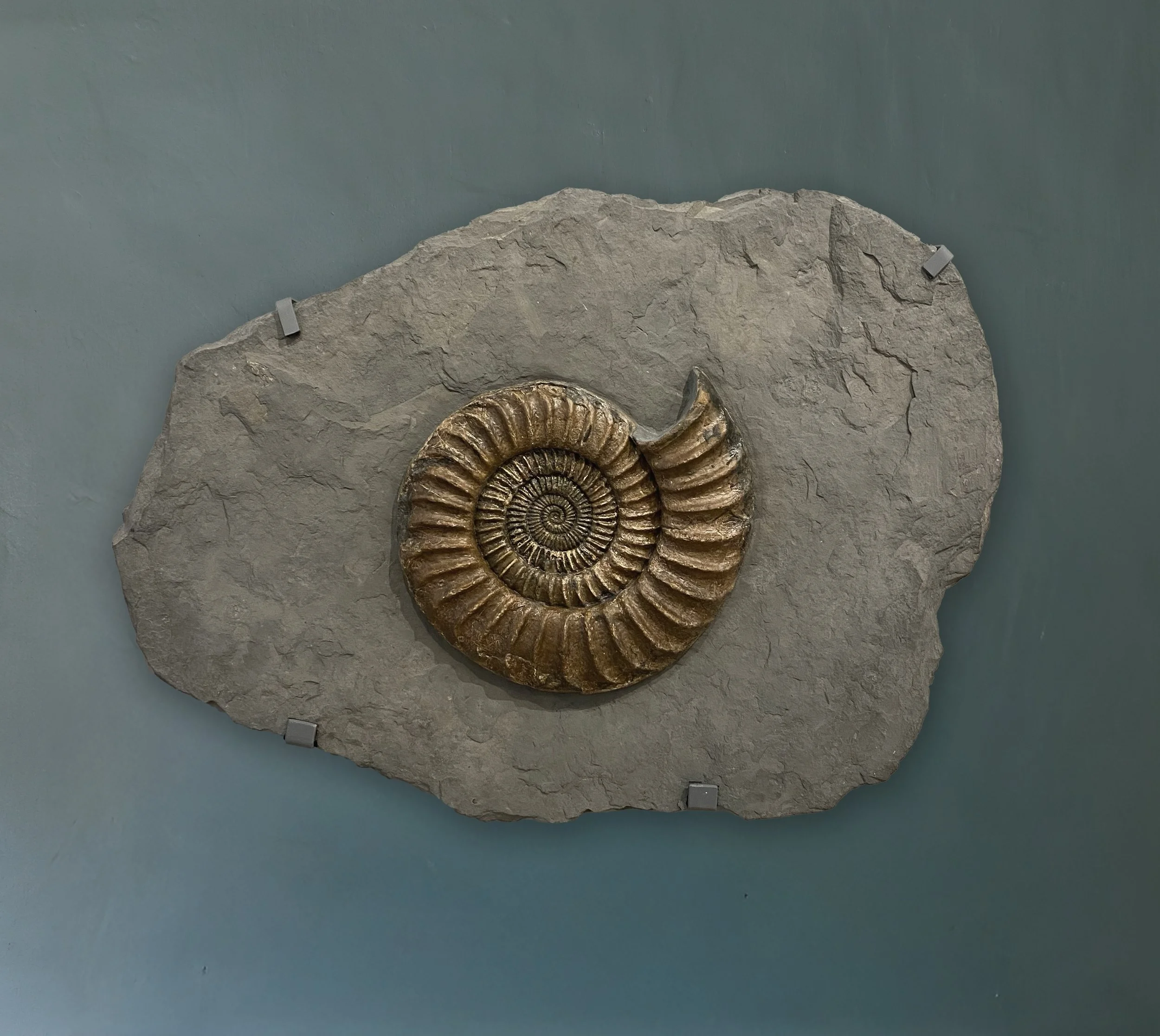 14J6A9141-Enhanced-NREO.Highres copy.jpg