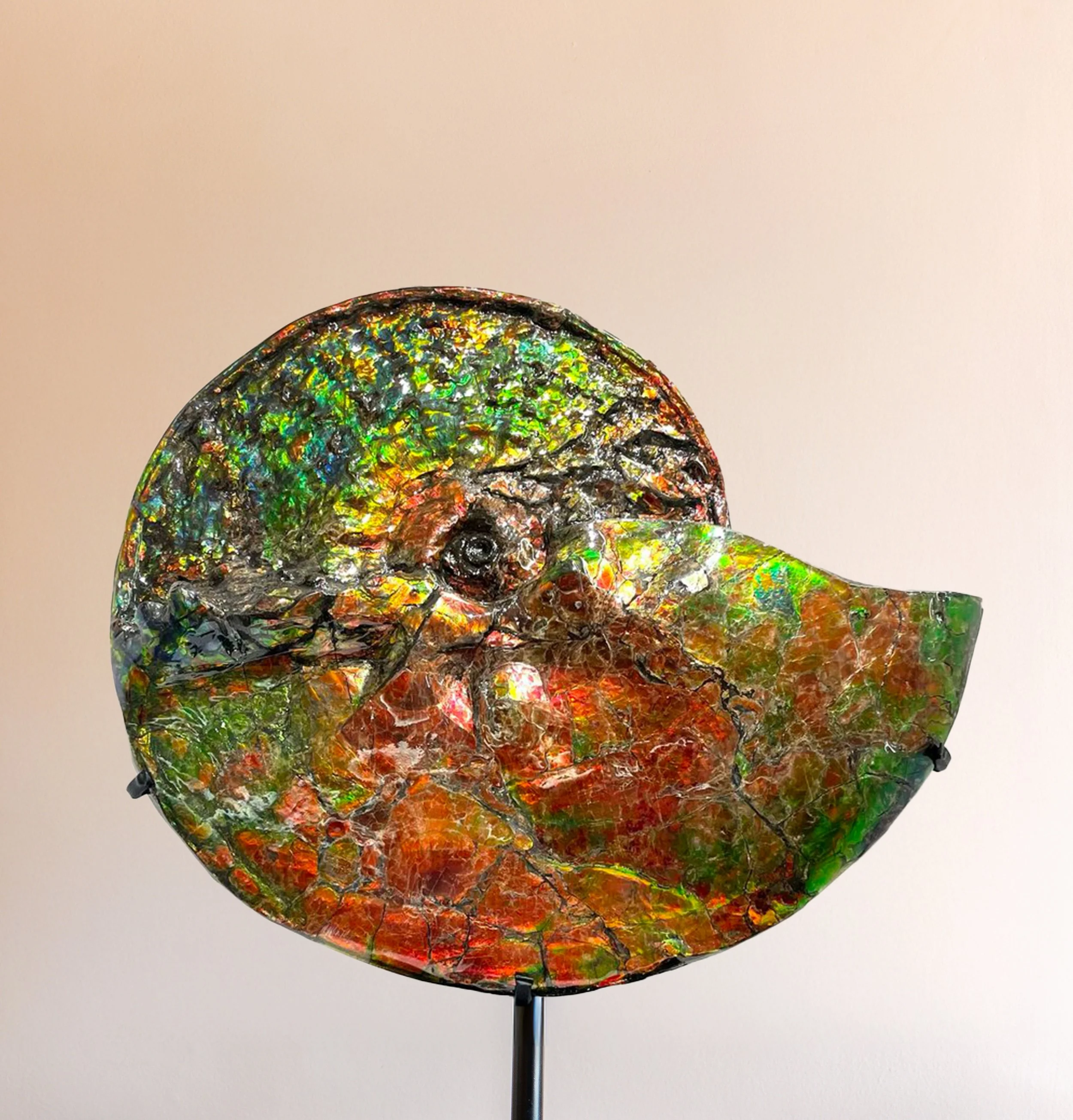 14J6A9500EO.Highres copy.jpg