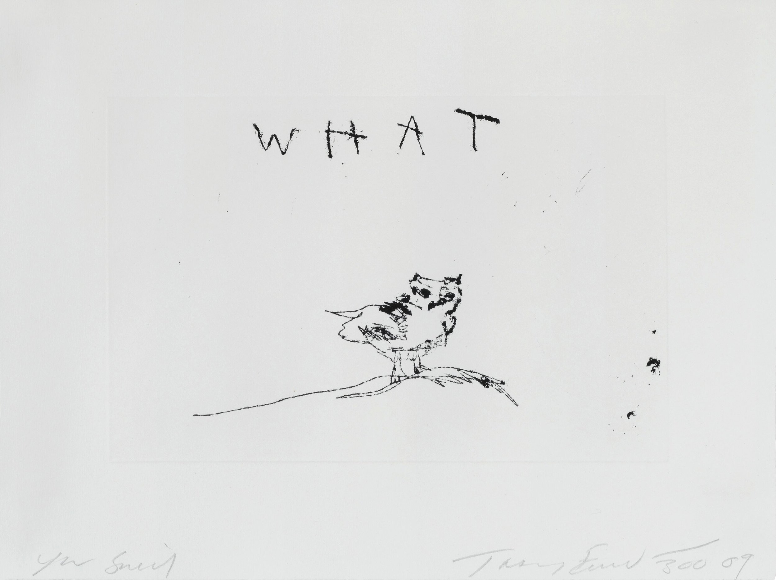extraordinary-objects-tracey-emin-you-said-what-hi-res.jpg
