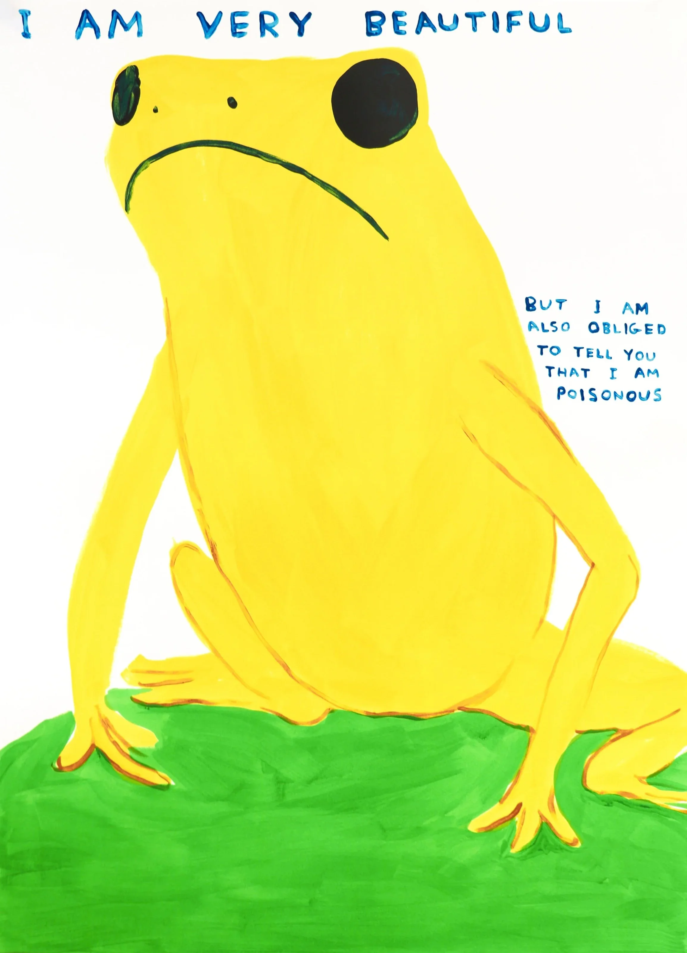 extraordinary-objects-david-shrigley-i-am-very-beautiful-screenprint-hi-res.jpg