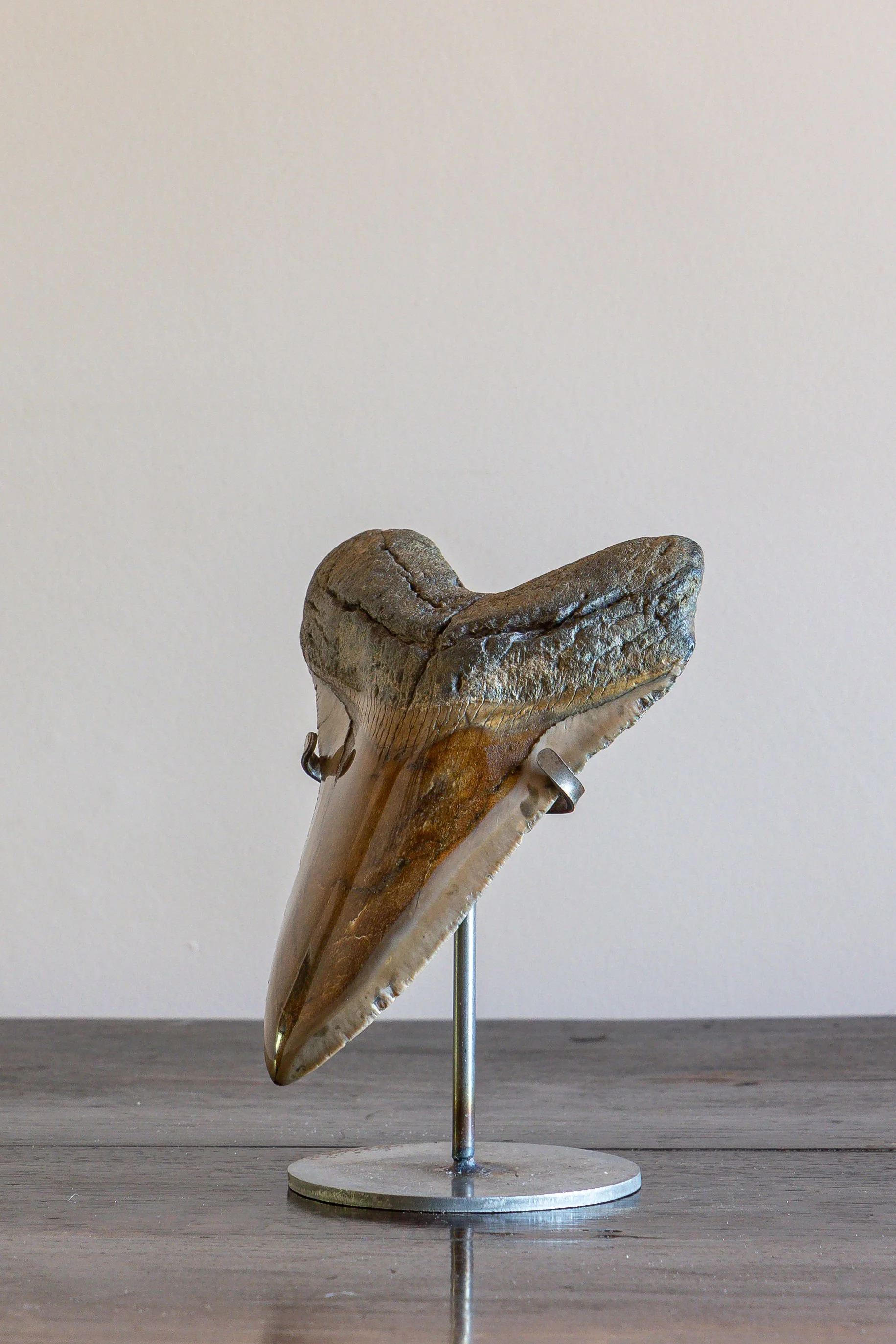 4J6A9414EO.Highres.jpg