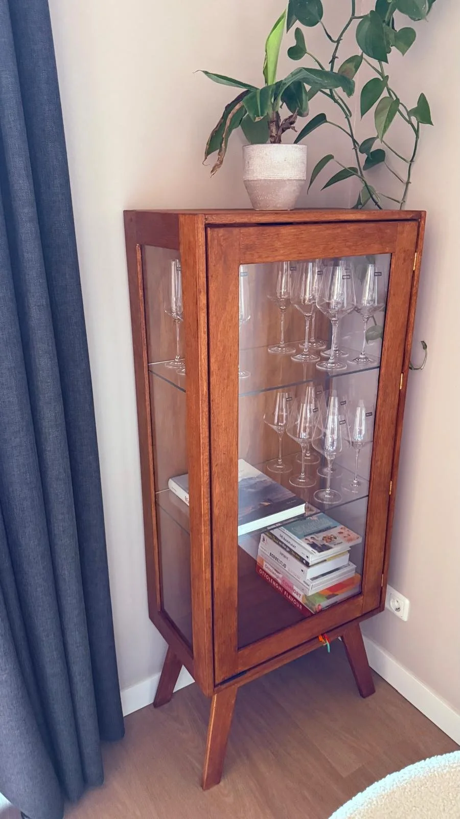 Een houten vitrine met glazen deuren, gevuld met wijn- en champagneglazen, met een boek en tijdschriften op de onderste plank, en een grote groene plant op top.