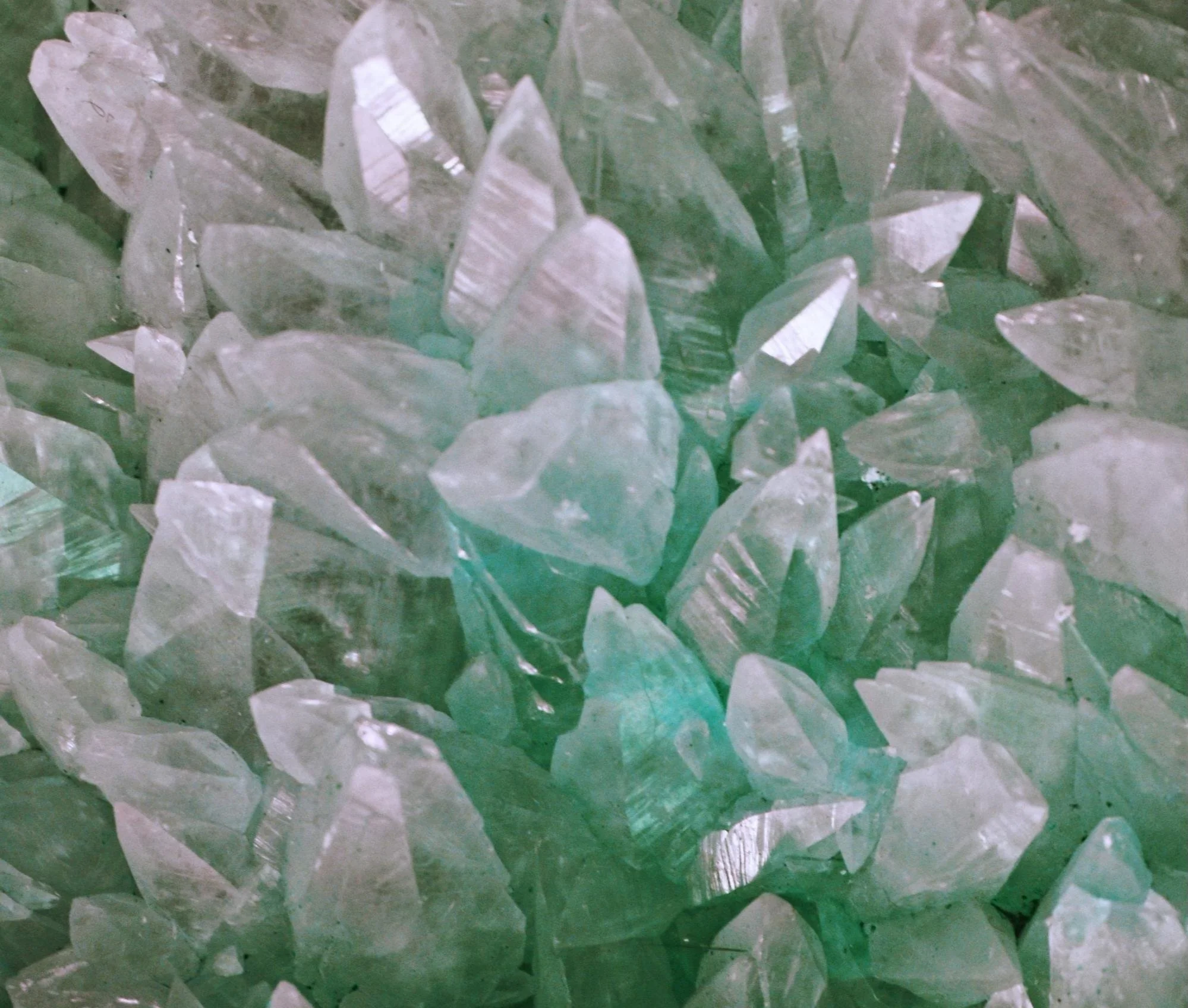 Close-up of numerous clear quartz crystals with sharp edges and varying sizes.