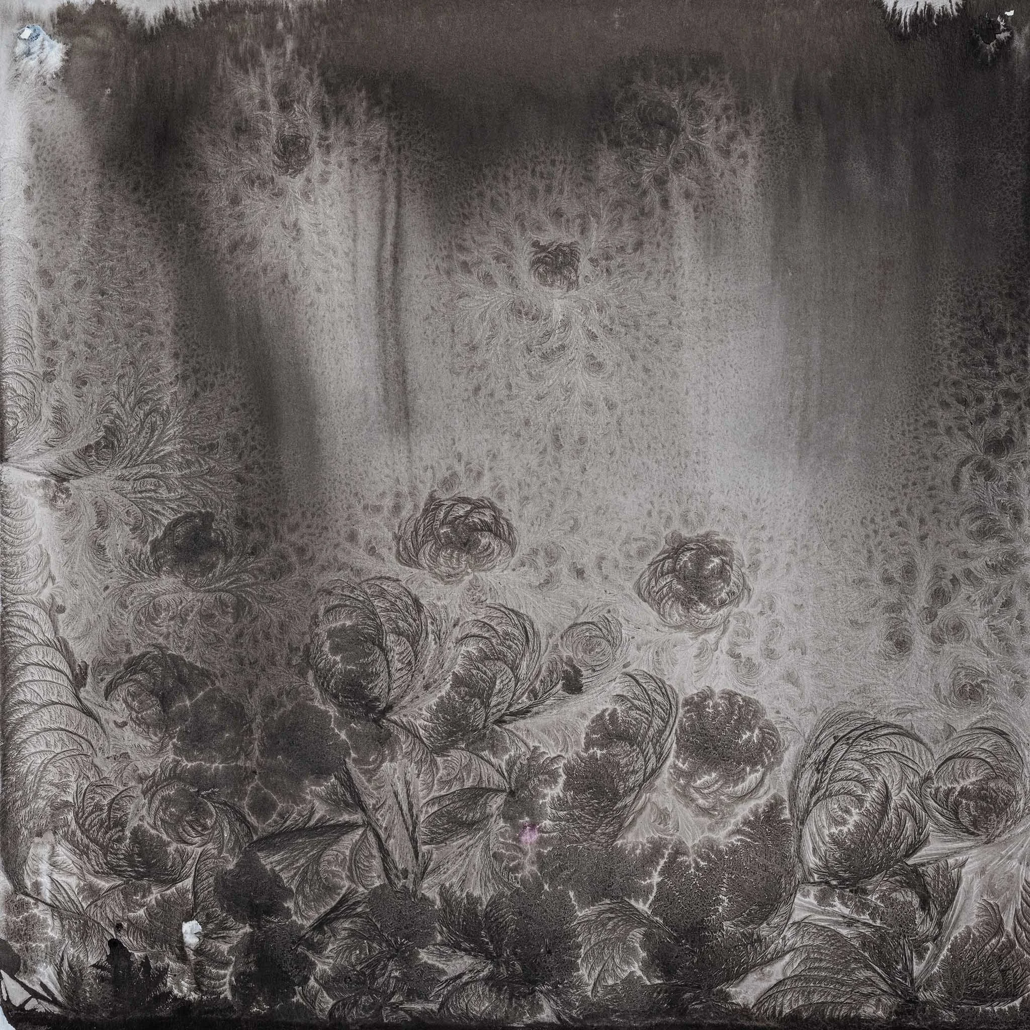 2020_Minusaquarell Tusche, 45 x 45 cm, Tusche auf Papier