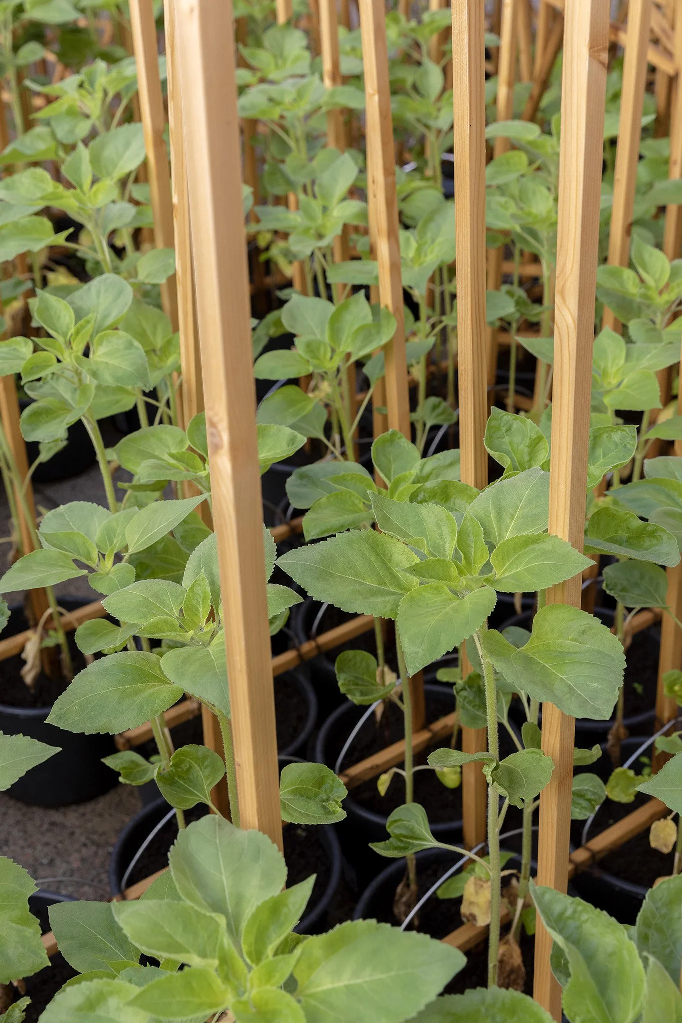 2022_Oikos, Salzburg Museum, Salzburg