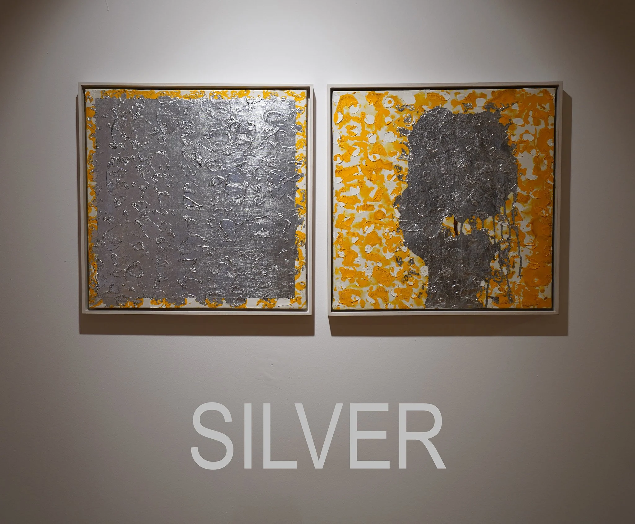 SILVER DSC06548 copy.jpg