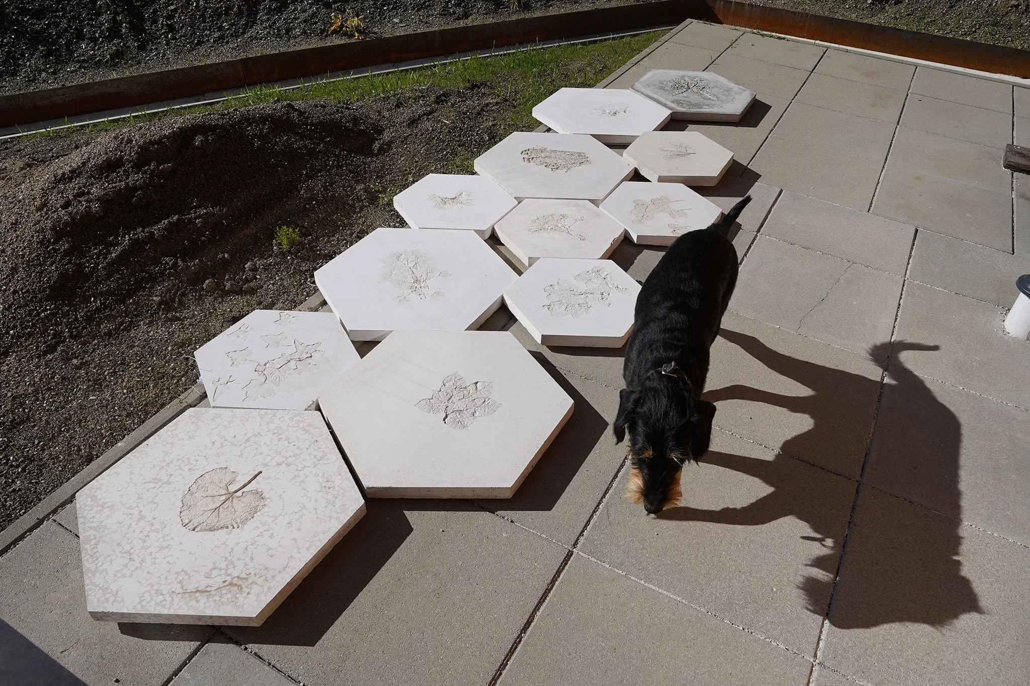 2021_Betongarten, Studio, Schwemmberg