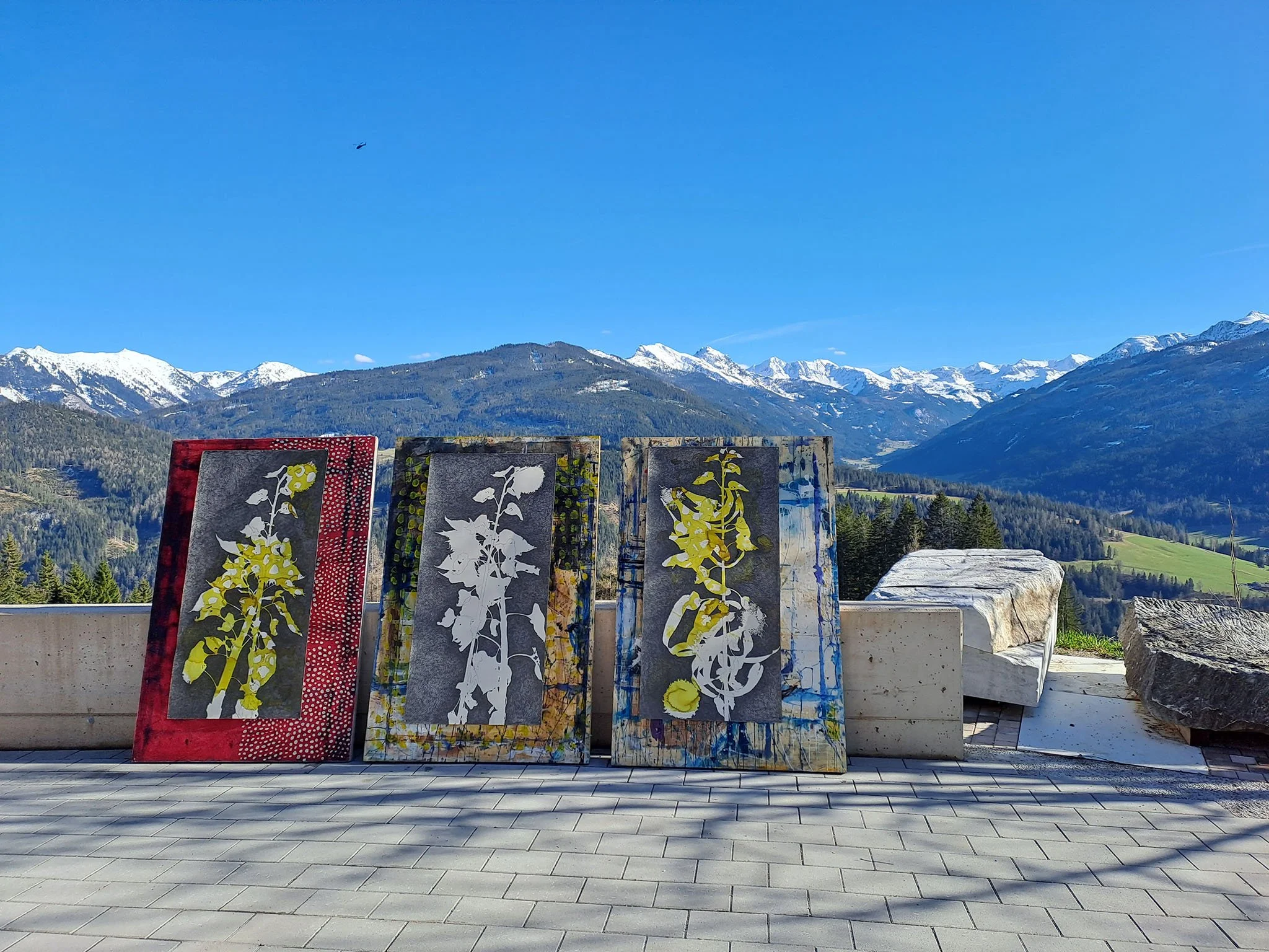 2024_Helianthusschatten Zeichnungen, jeweils 150 x 75 cm, Tusche und Bleistift auf Papier