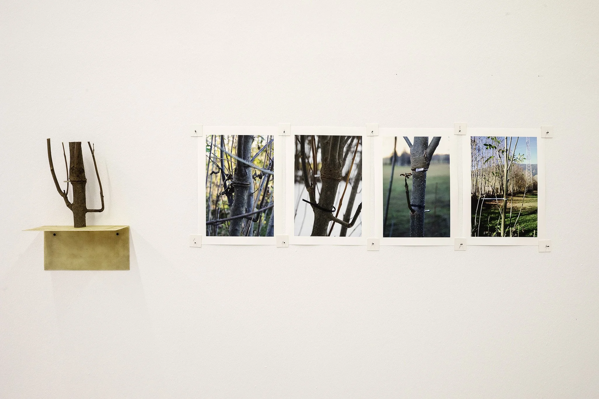 2019_Über Wasser gehen, Kunsthaus Nexus, Saalfelden