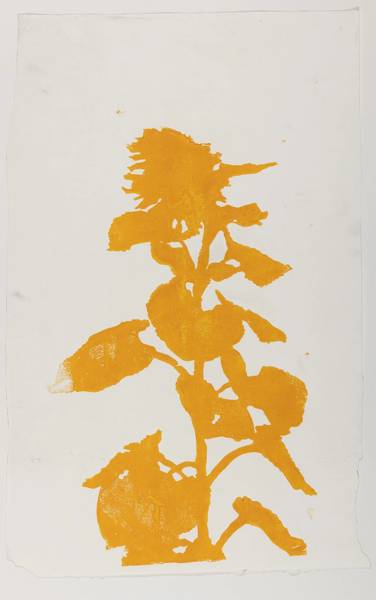 1998_Sonnenblume, Holzschnitt/Unikat, 57 x 23 cm, Ölfarbe auf Papier 