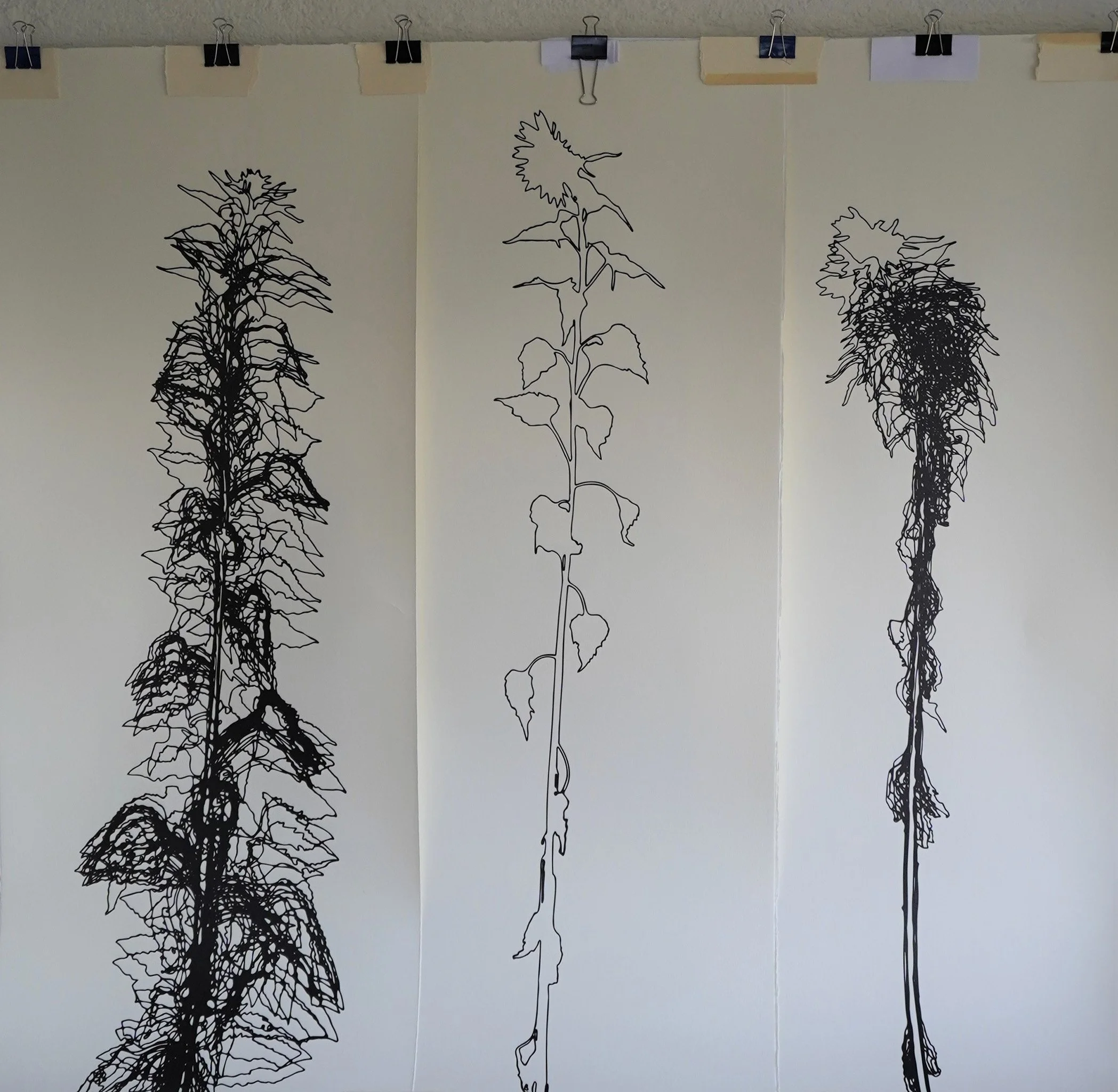 2020_Sonnenblumenjahr, Druckgraphik, Digitaldruck auf Büttenpapier