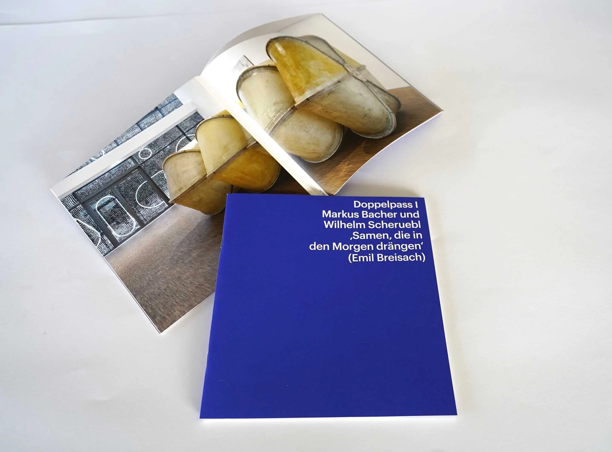 2018_Samen, die in den Morgen drängen, Wilhelm Scheruebl & Markus Pacher, Deutsche Gesellschaft für christliche Kunst e.V. München