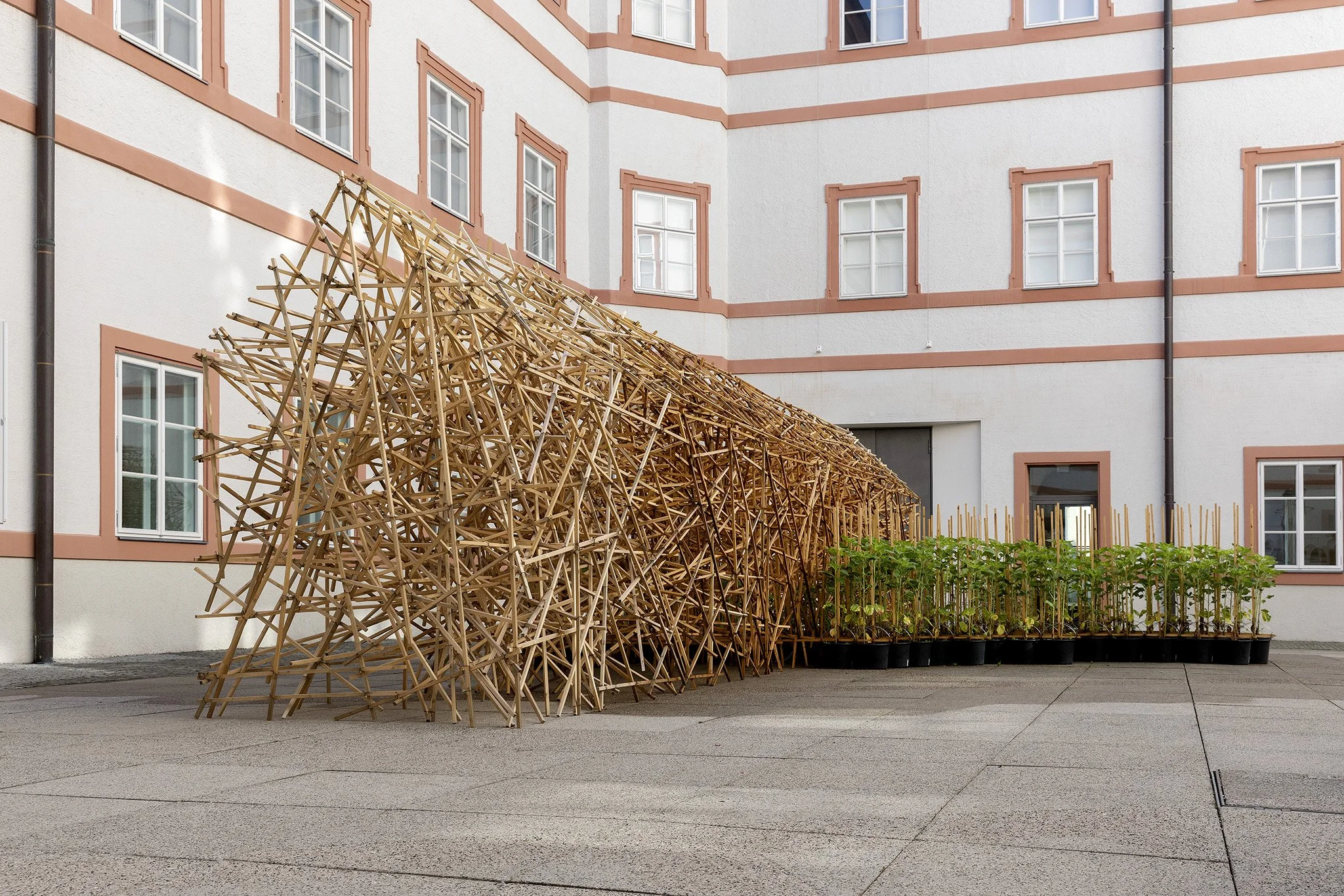 2022_Oikos, Salzburg Museum, Salzburg