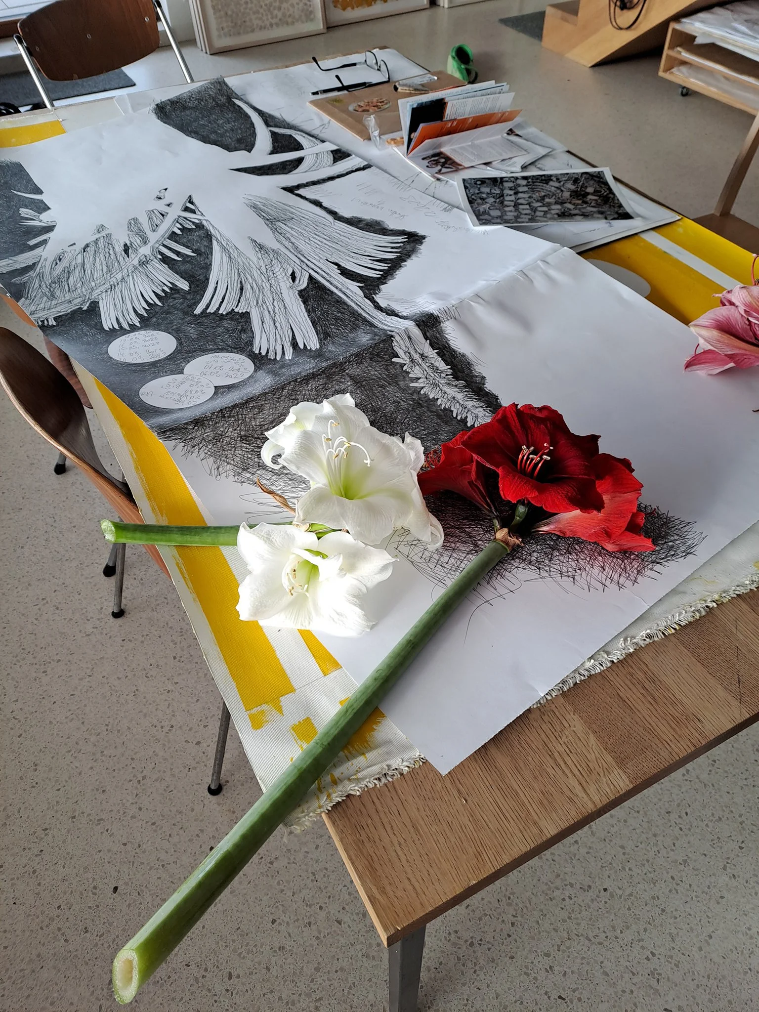 2023_Studio, Schwemmberg