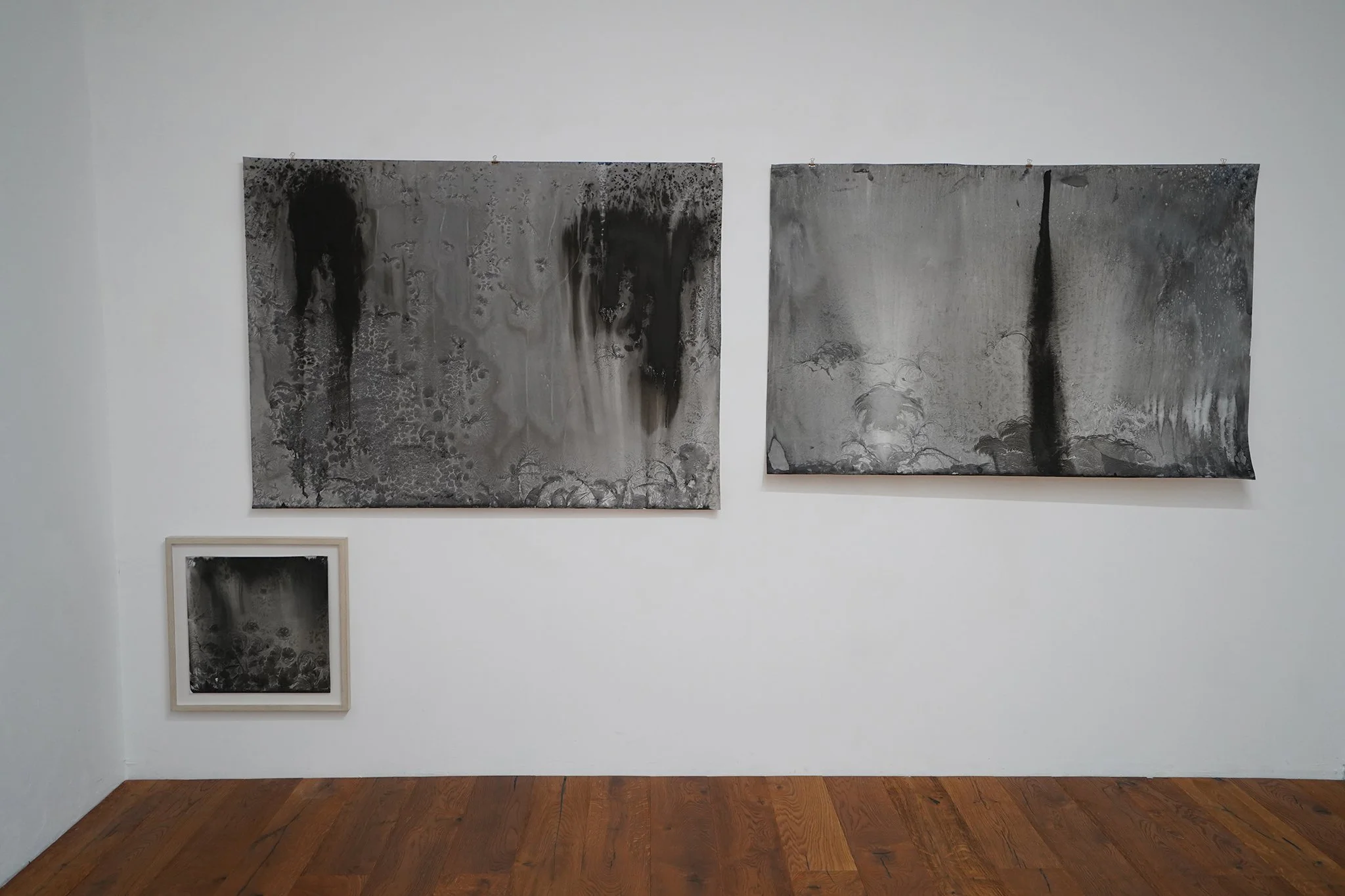 2025_Von der Schönheit gefrorener Eisblüten, puuul.space, Wien 