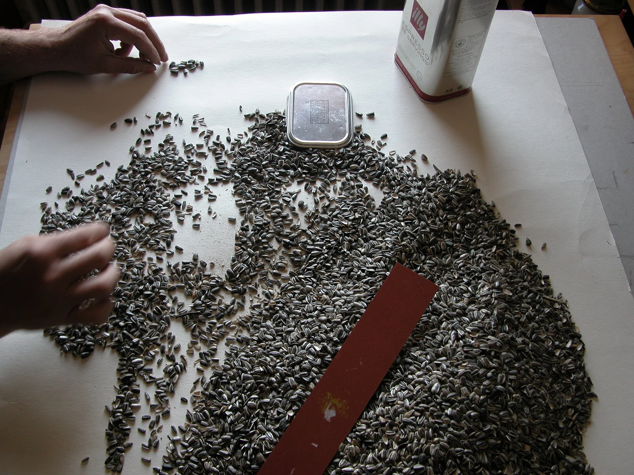 Hände_Birdseed/Vogelfutter