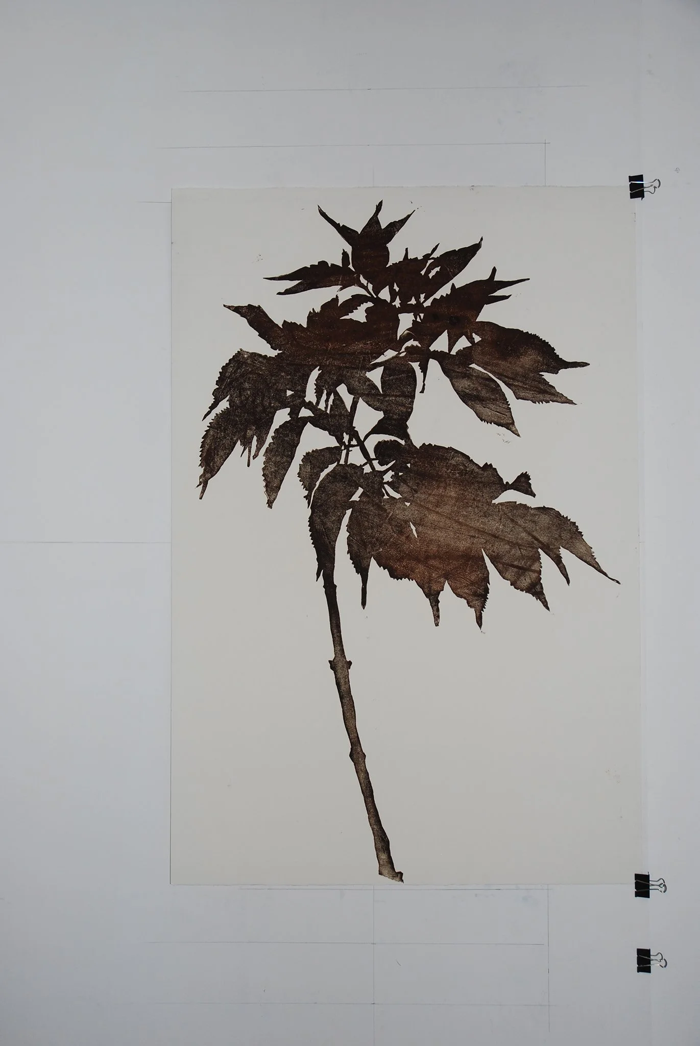 2012_Eberesche, Druckgraphik, Holzschnitt/Ölfarbe auf Büttenpapier 