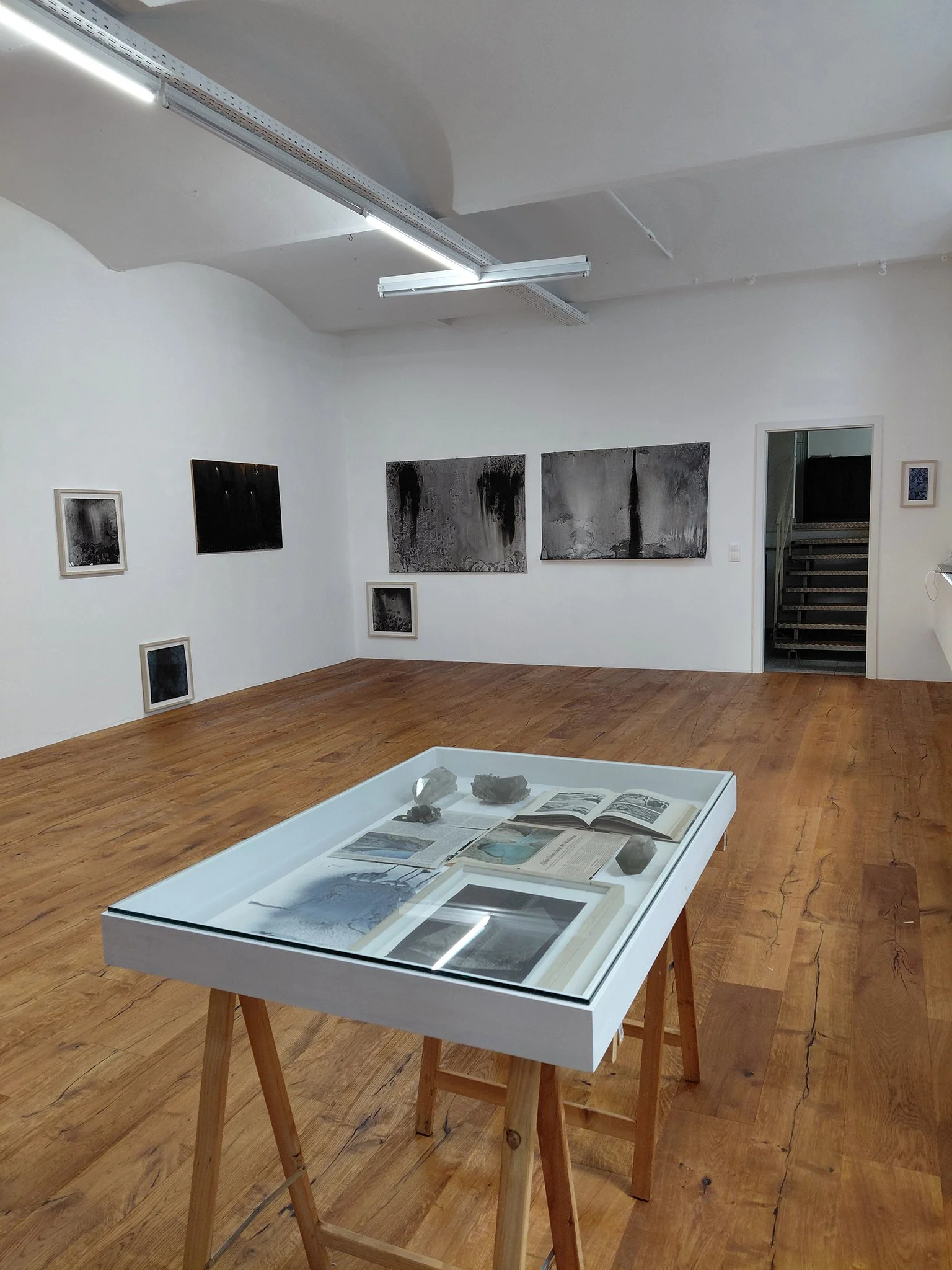 2025_Von der Schönheit gefrorener Eisblüten, puuul.space, Wien 