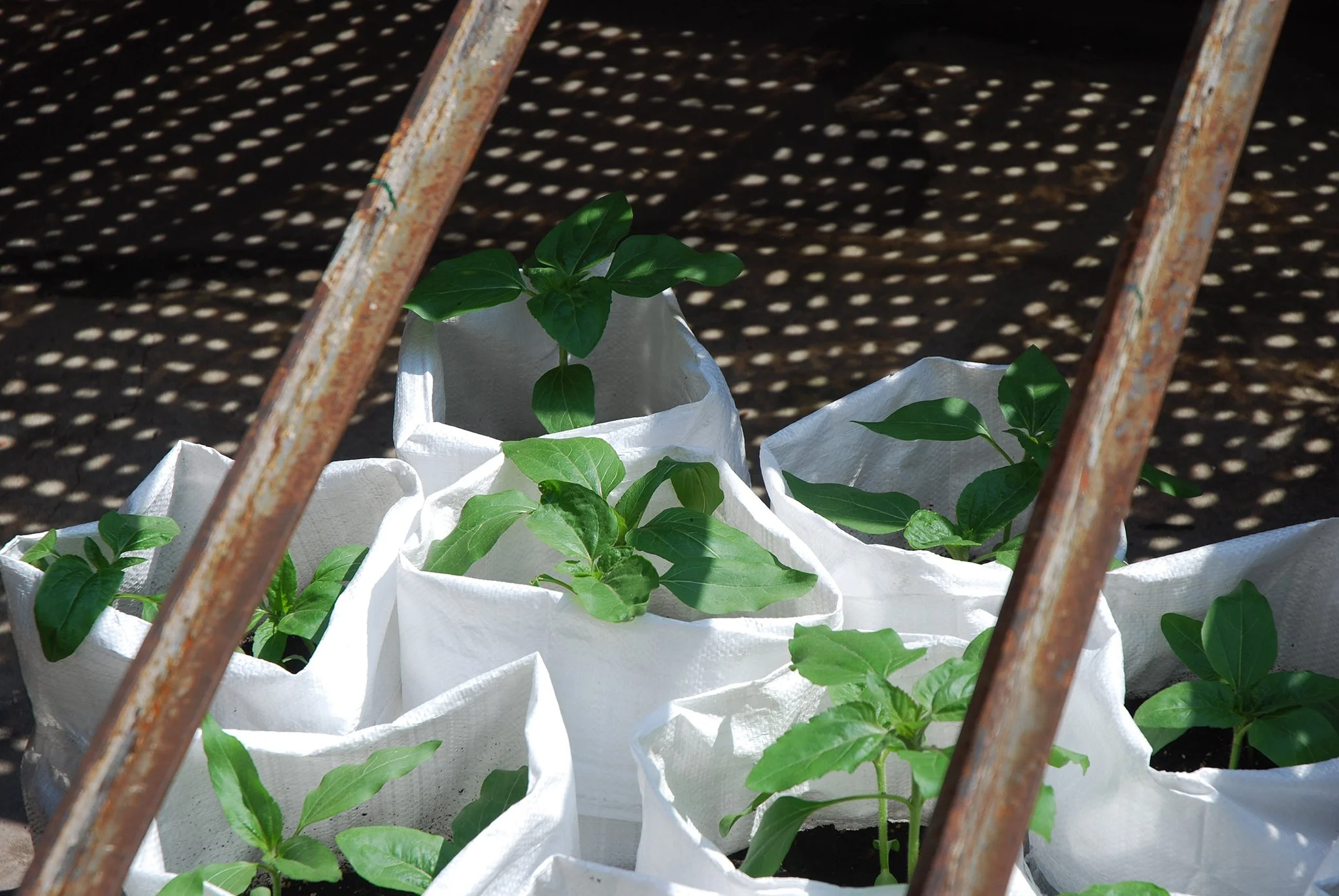 2012_wachsen, Zacherlfabrik, Wien 