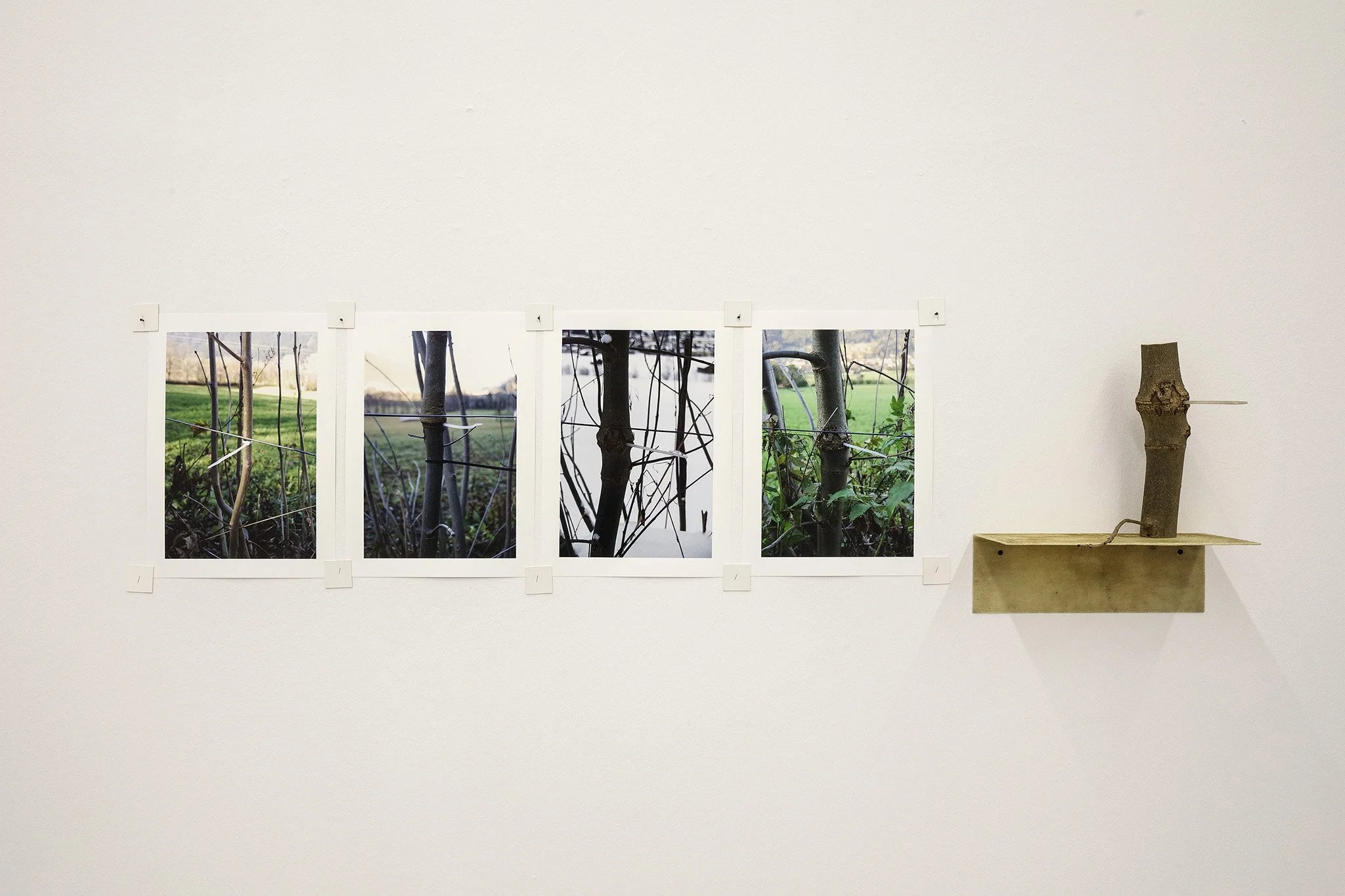 2019_Über Wasser gehen, Kunsthaus Nexus, Saalfelden 