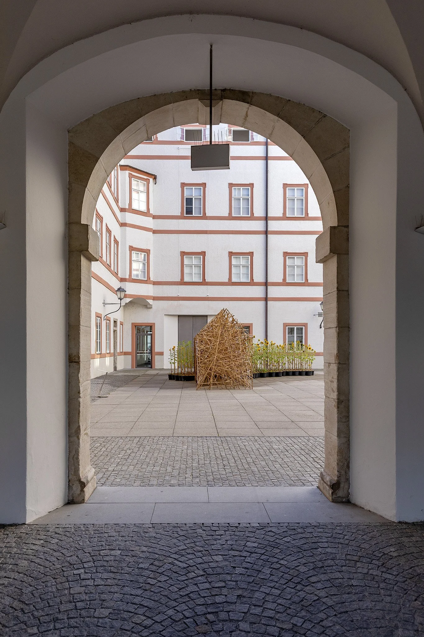 2022_Oikos, Salzburg Museum, Salzburg